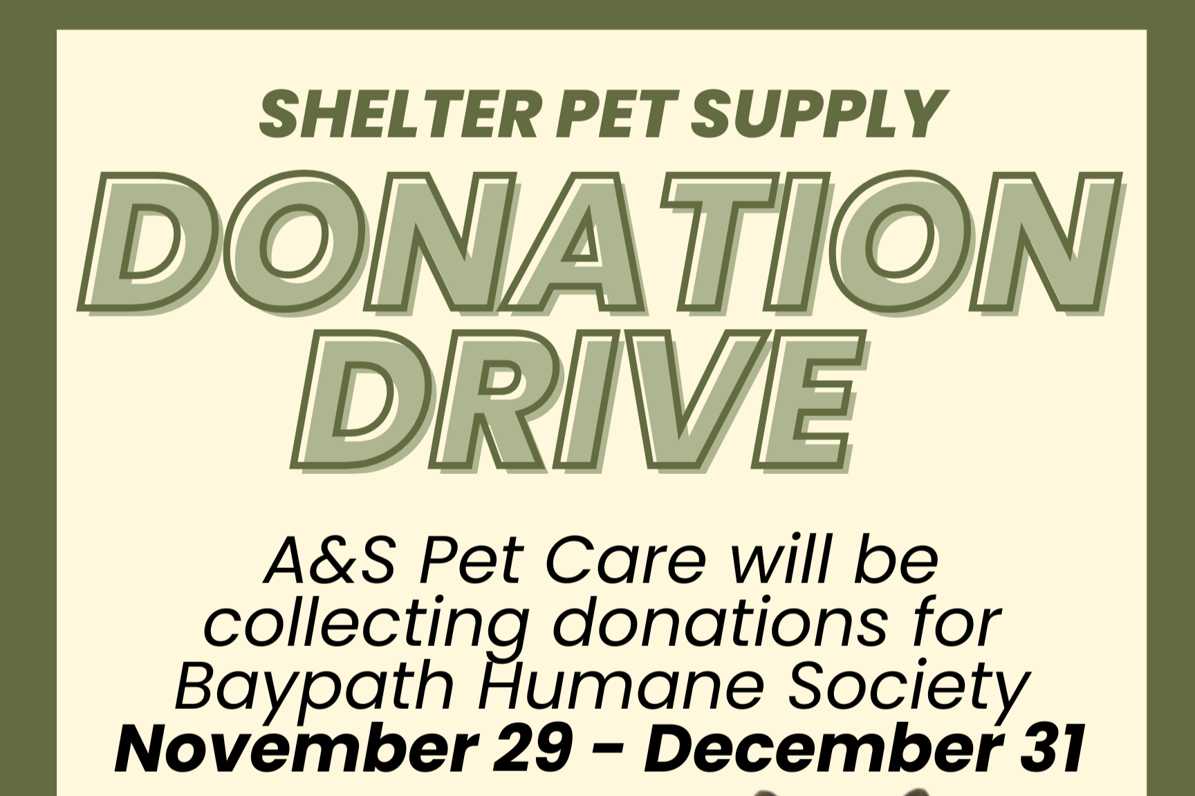 Donation Drive for Shelter Dogs