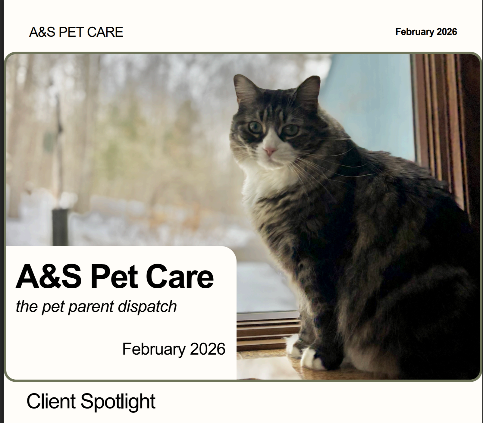 The Pet Parent Dispatch - February 2026