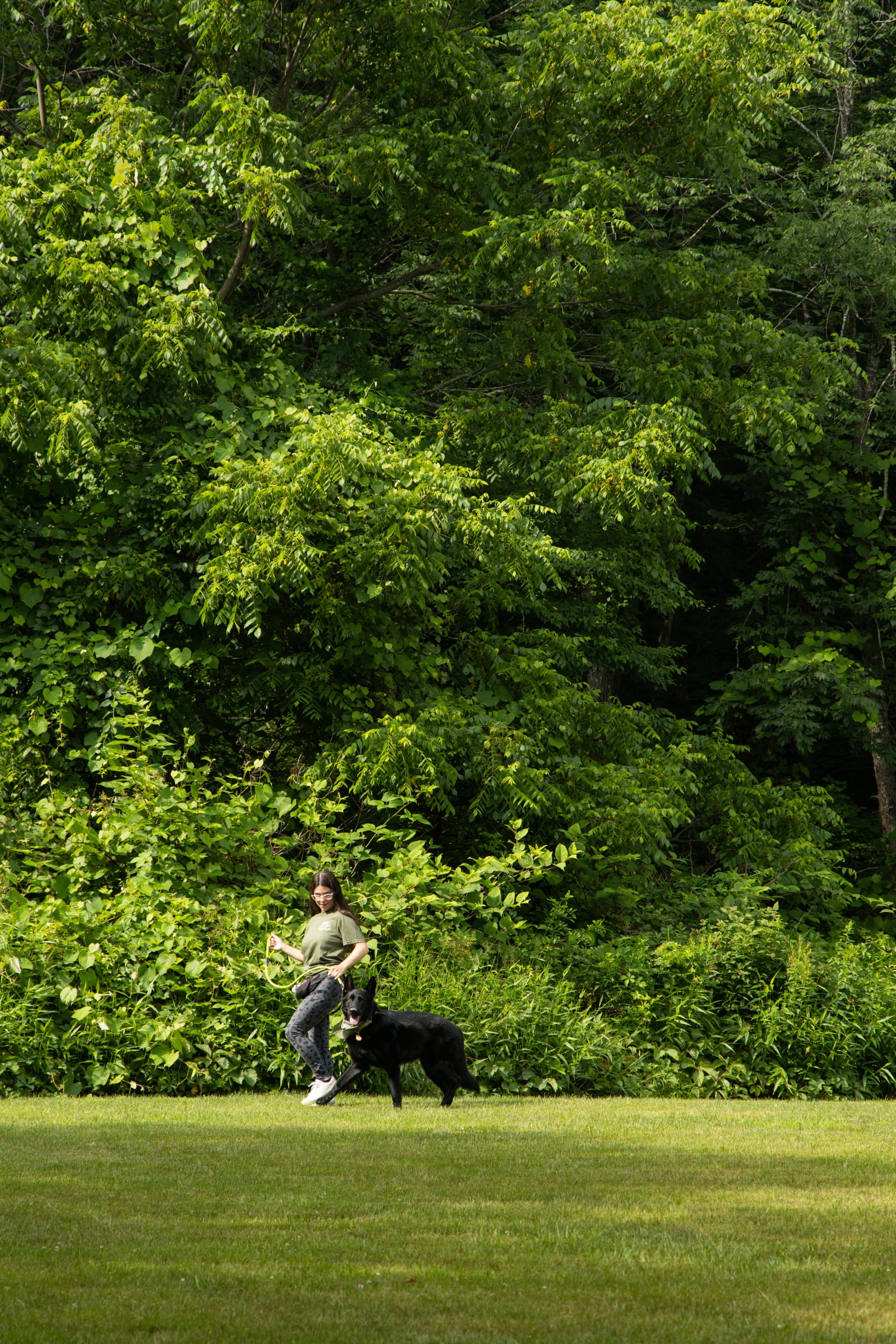 A woman standing on grass with a black dog on a leash, in front of a lush green bush and trees.