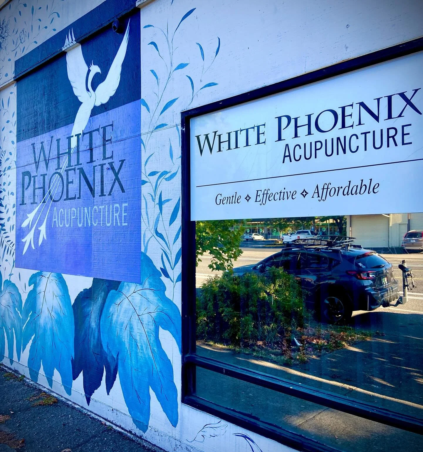 White Phoenix Acupuncture (@whitephoenixacupuncture) isn’t just your neighborhood acupuncturist. 👉🏽White Phoenix offers holistic care with Japanese-style community acupuncture, herbal medicine consult, nutritional counseling, and more!🪡🥗🍵?