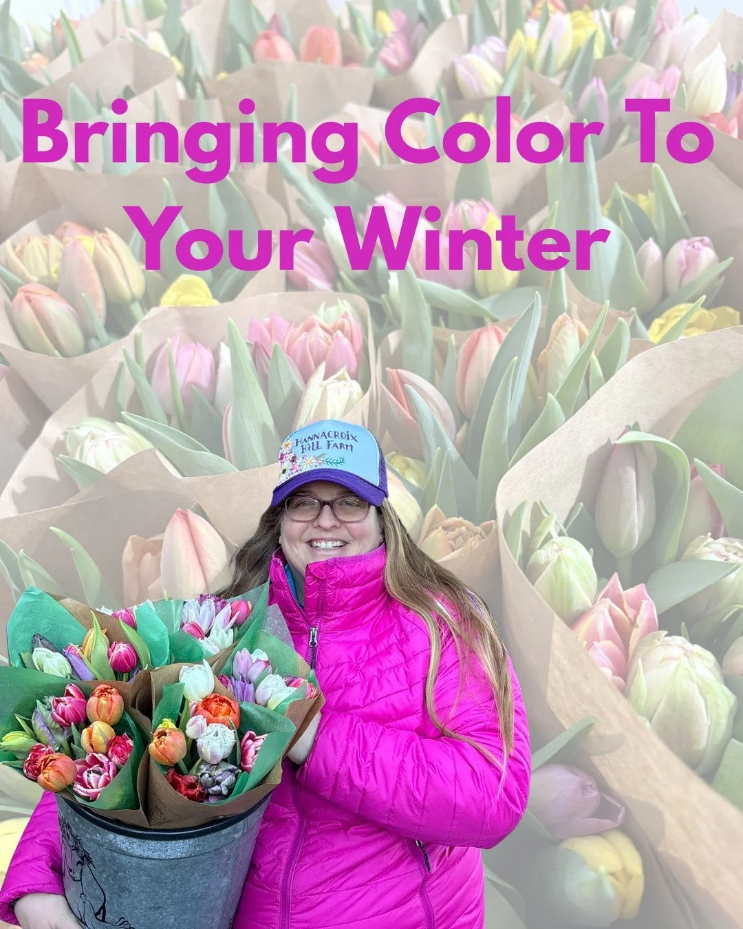 Can winter tulips treat your winter blues?