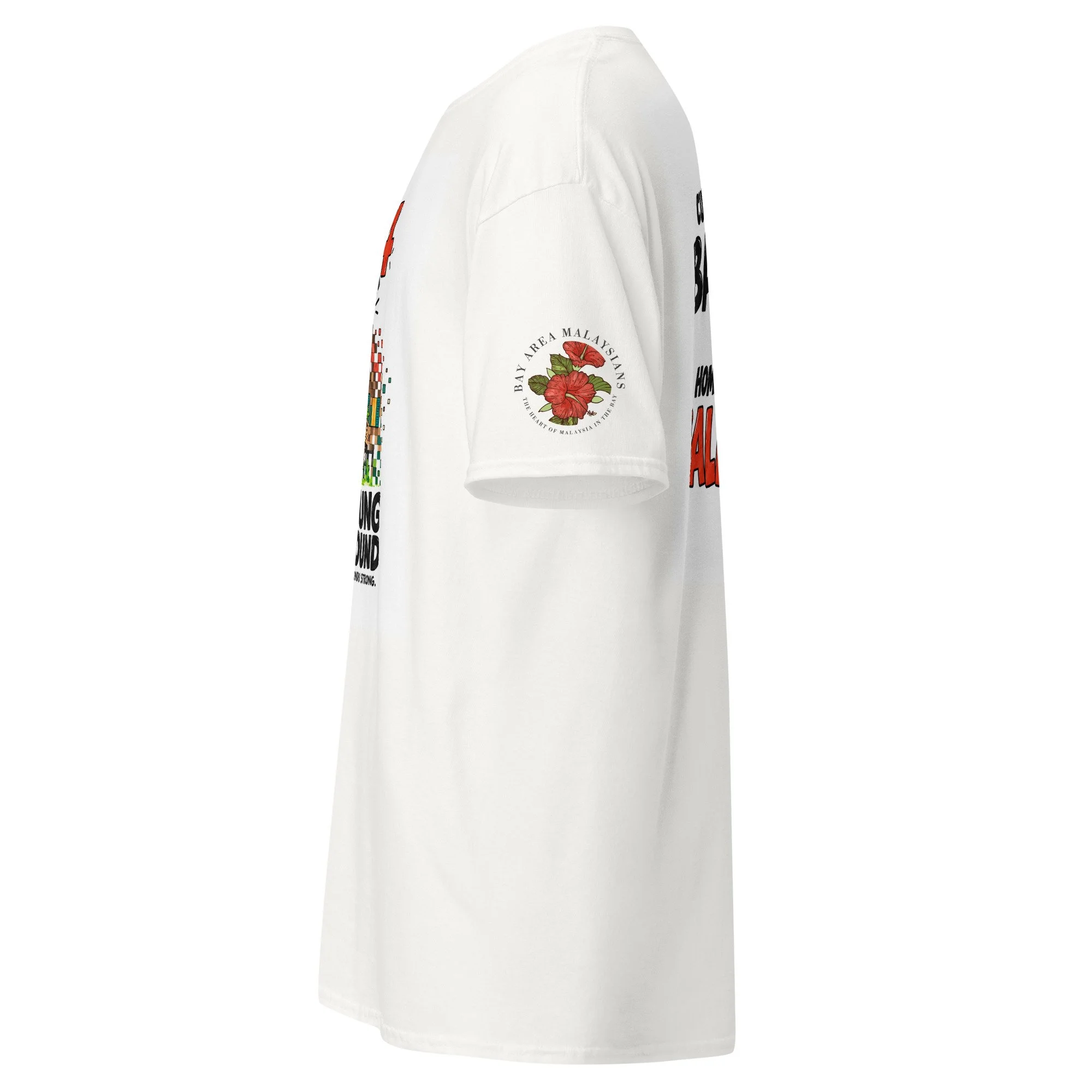 unisex-classic-tee-white-left-6aa05377072bd.jpg