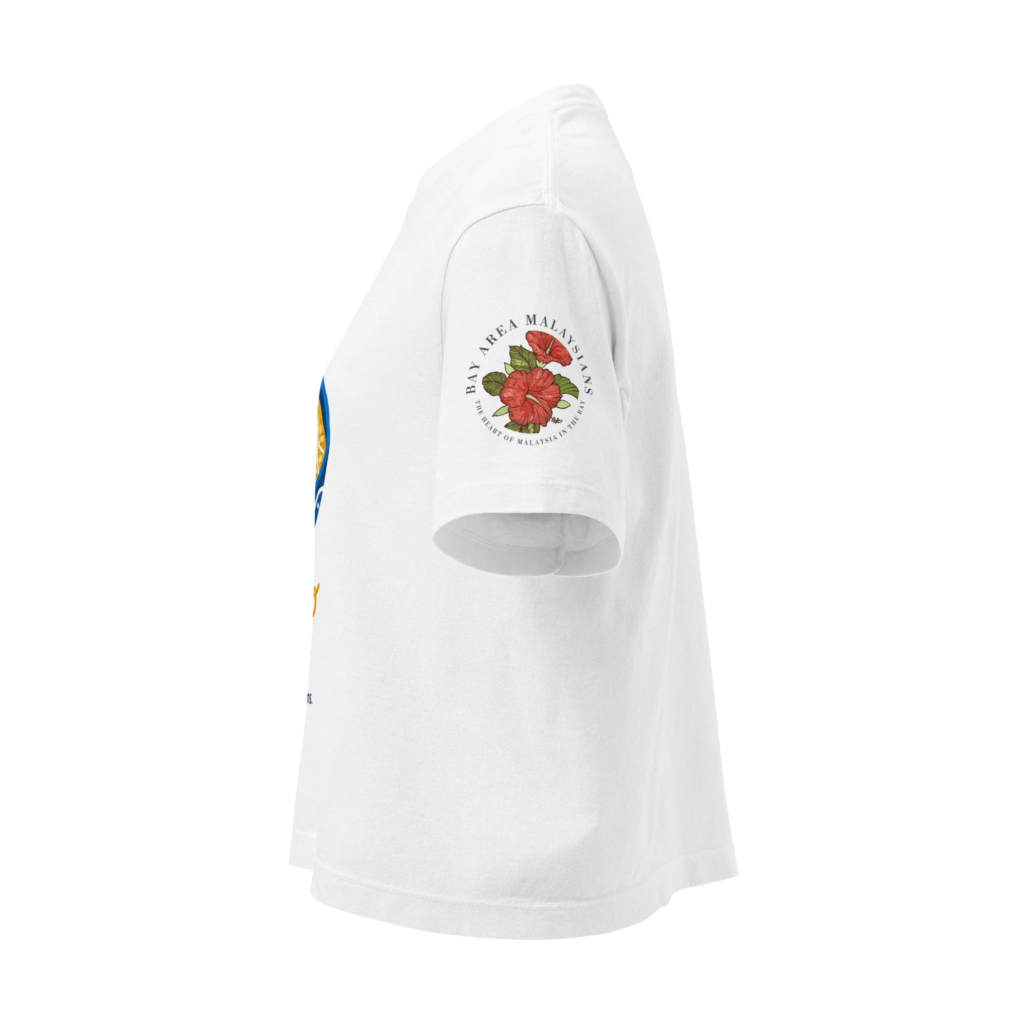 womens-heavyweight-boxy-t-shirt-white-left-6aa05d0c27c43.jpg