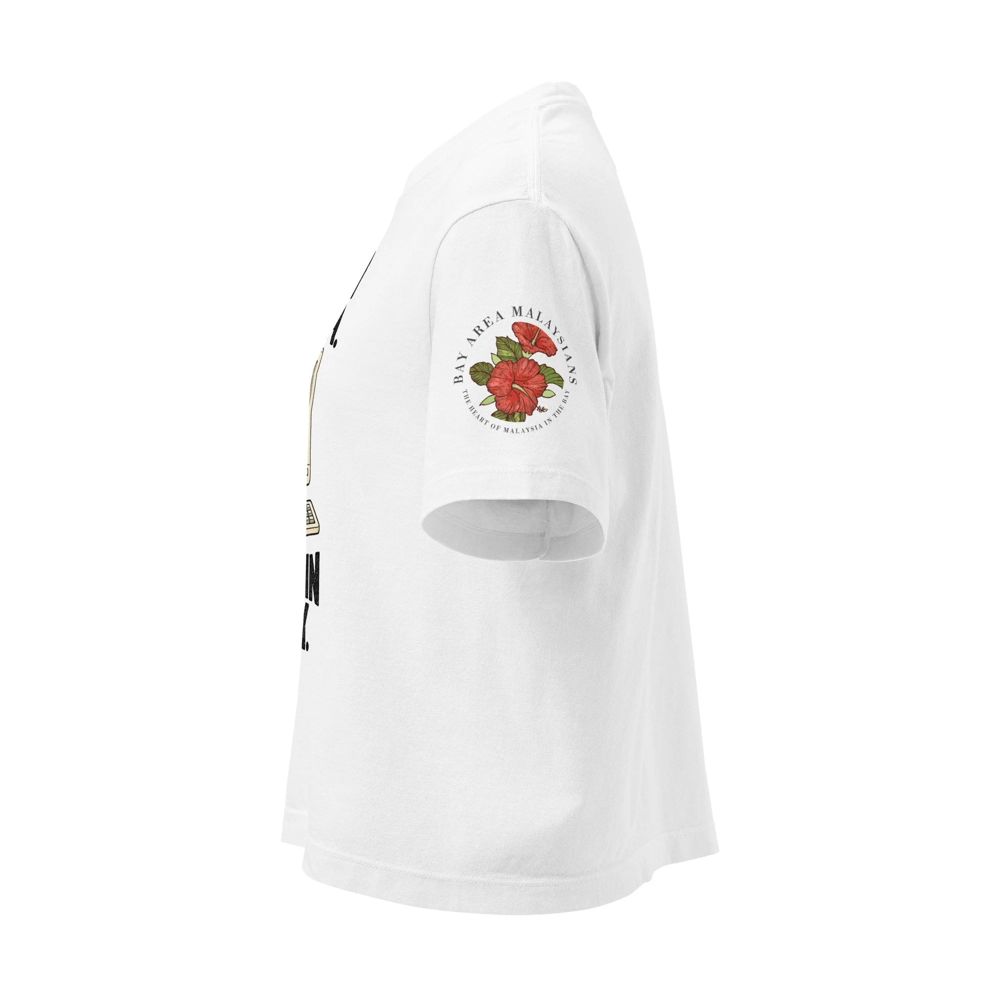 womens-heavyweight-boxy-t-shirt-white-left-6aa05b4ddf677.jpg