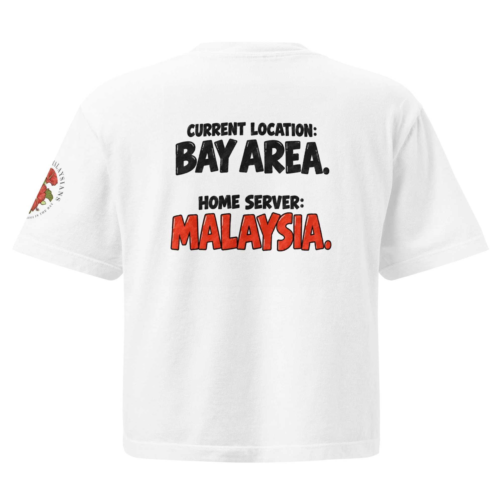womens-heavyweight-boxy-t-shirt-white-back-6aa050efcc453.jpg