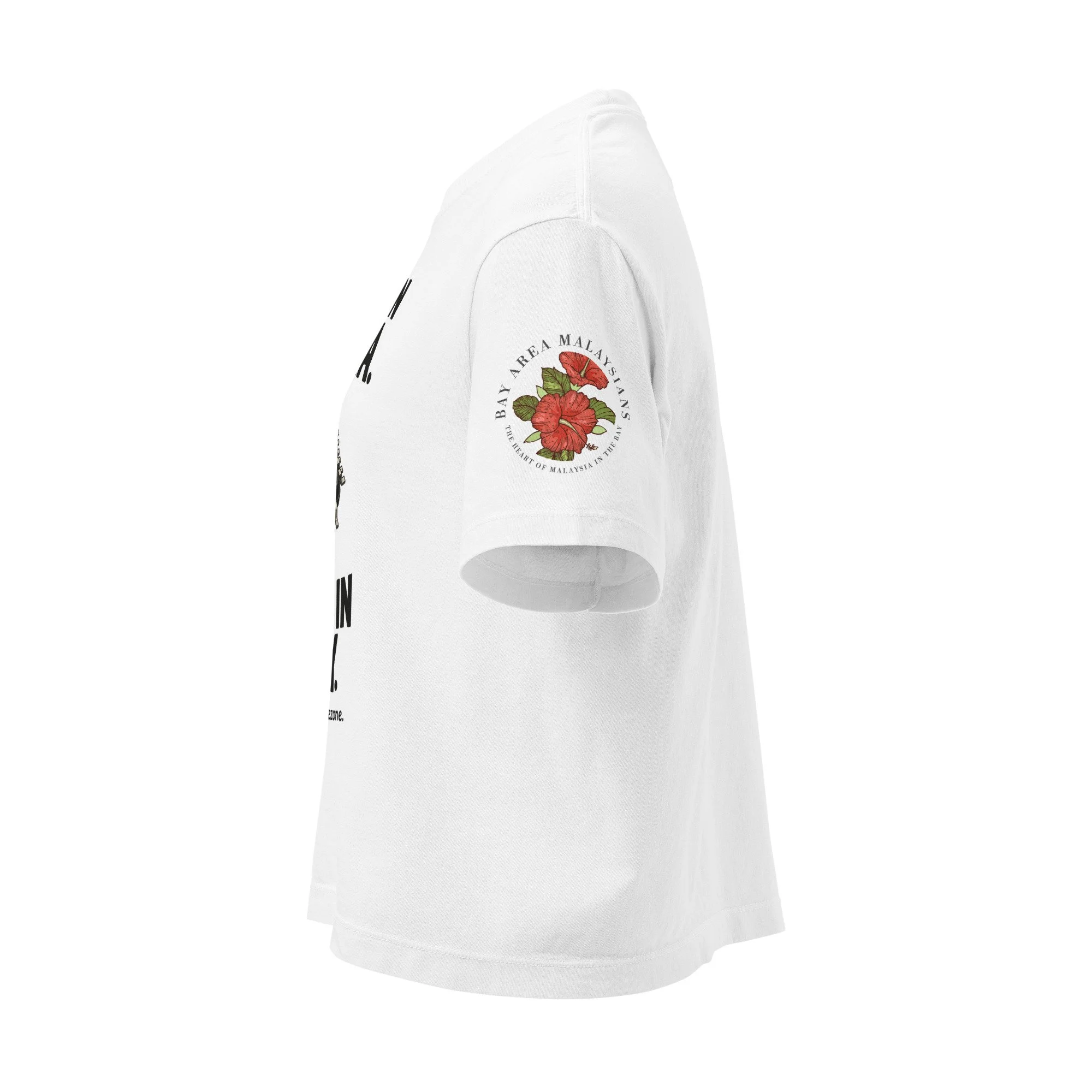 womens-heavyweight-boxy-t-shirt-white-left-6aa05a38aba9e.jpg