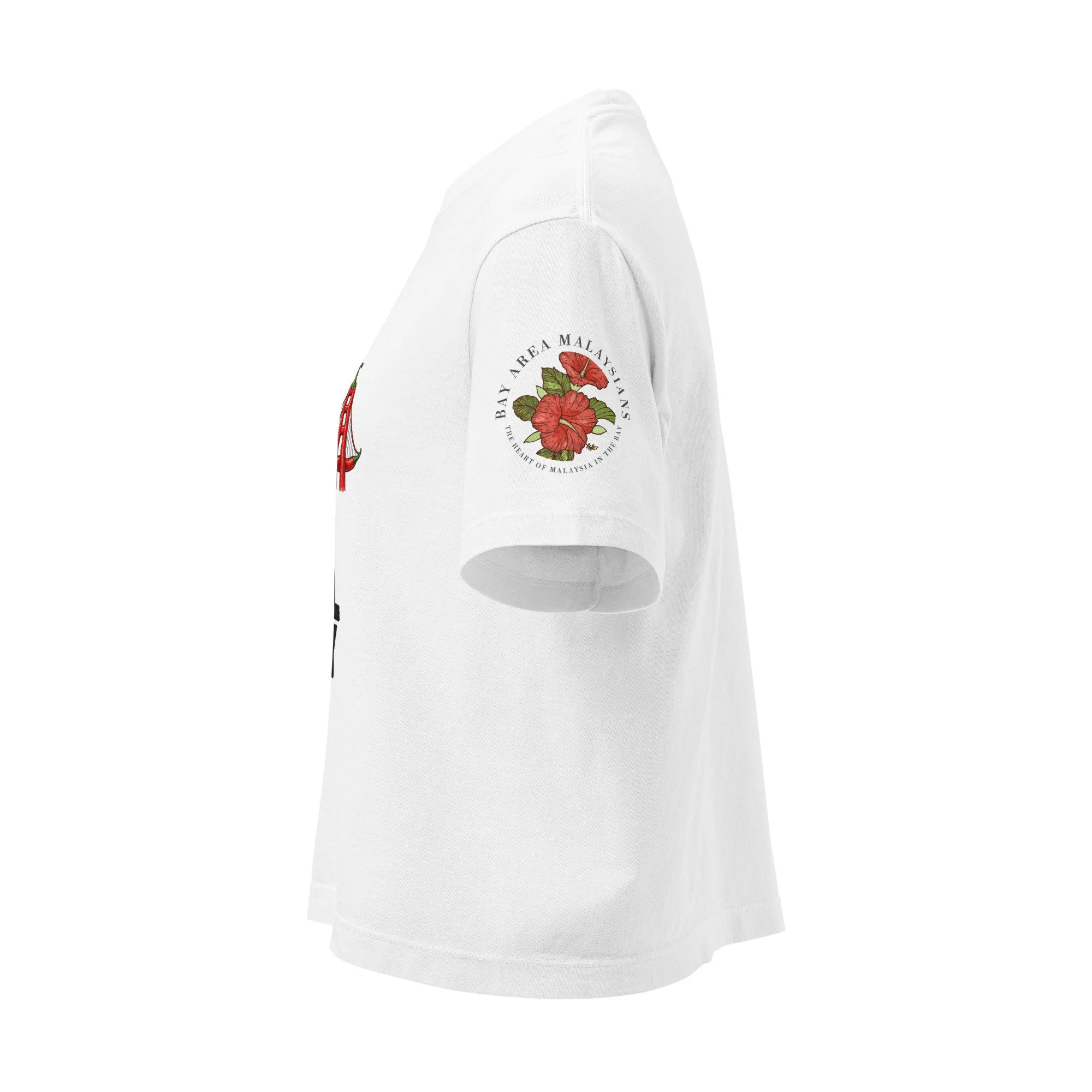 womens-heavyweight-boxy-t-shirt-white-left-6aa054847940d.jpg
