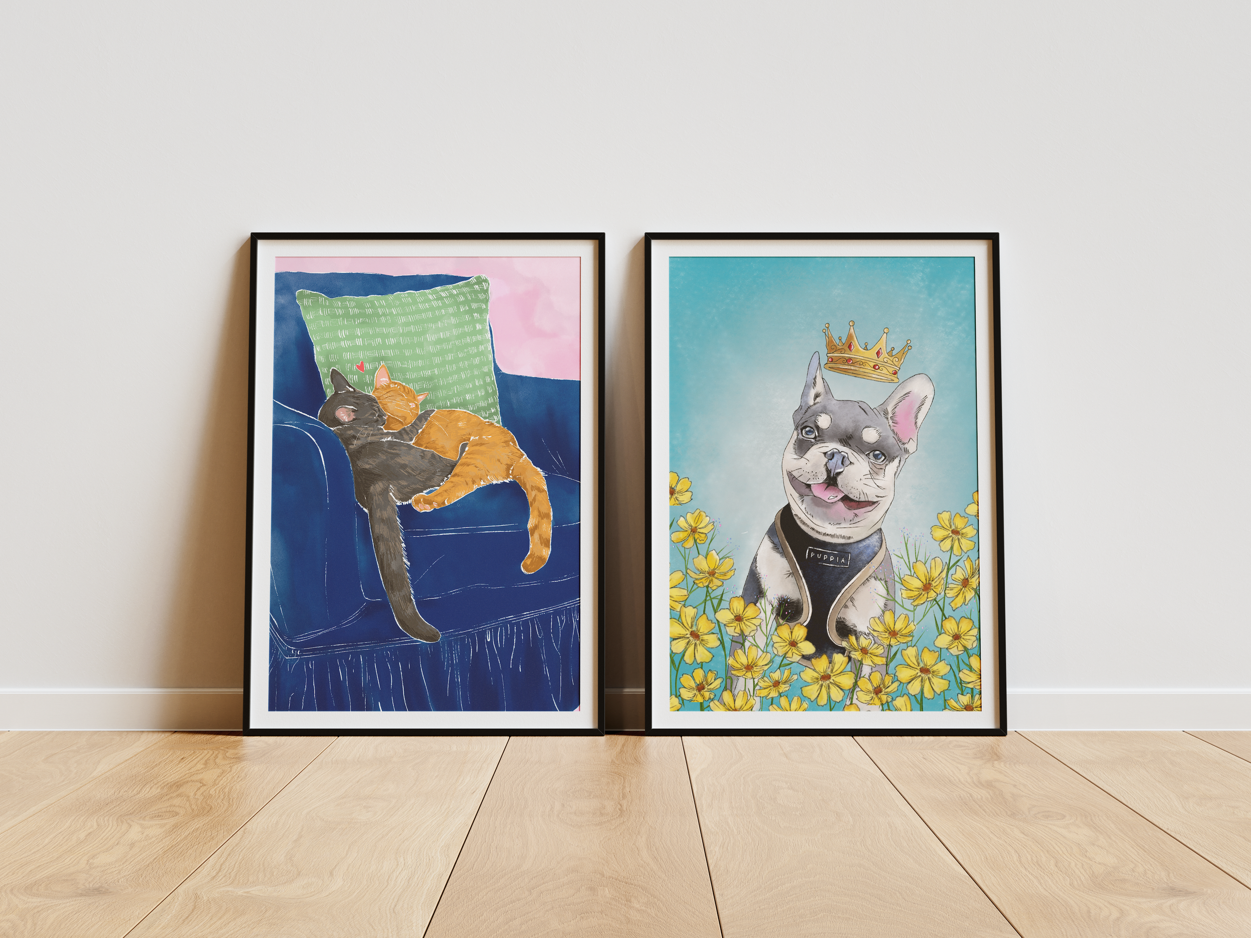 Pet Portraits