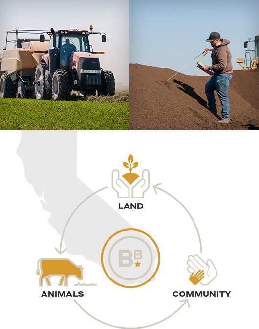 Brandt Family Beef's perfect ecosystem approach