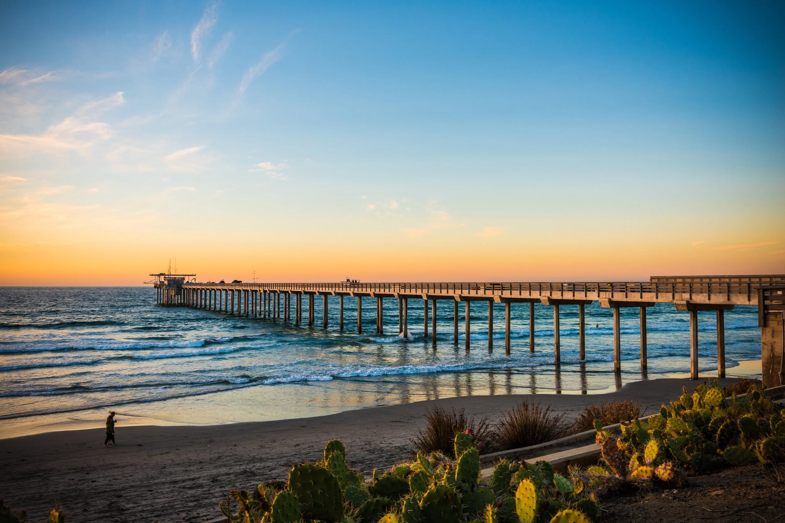 La Jolla_AdobeStock_225228235.jpeg
