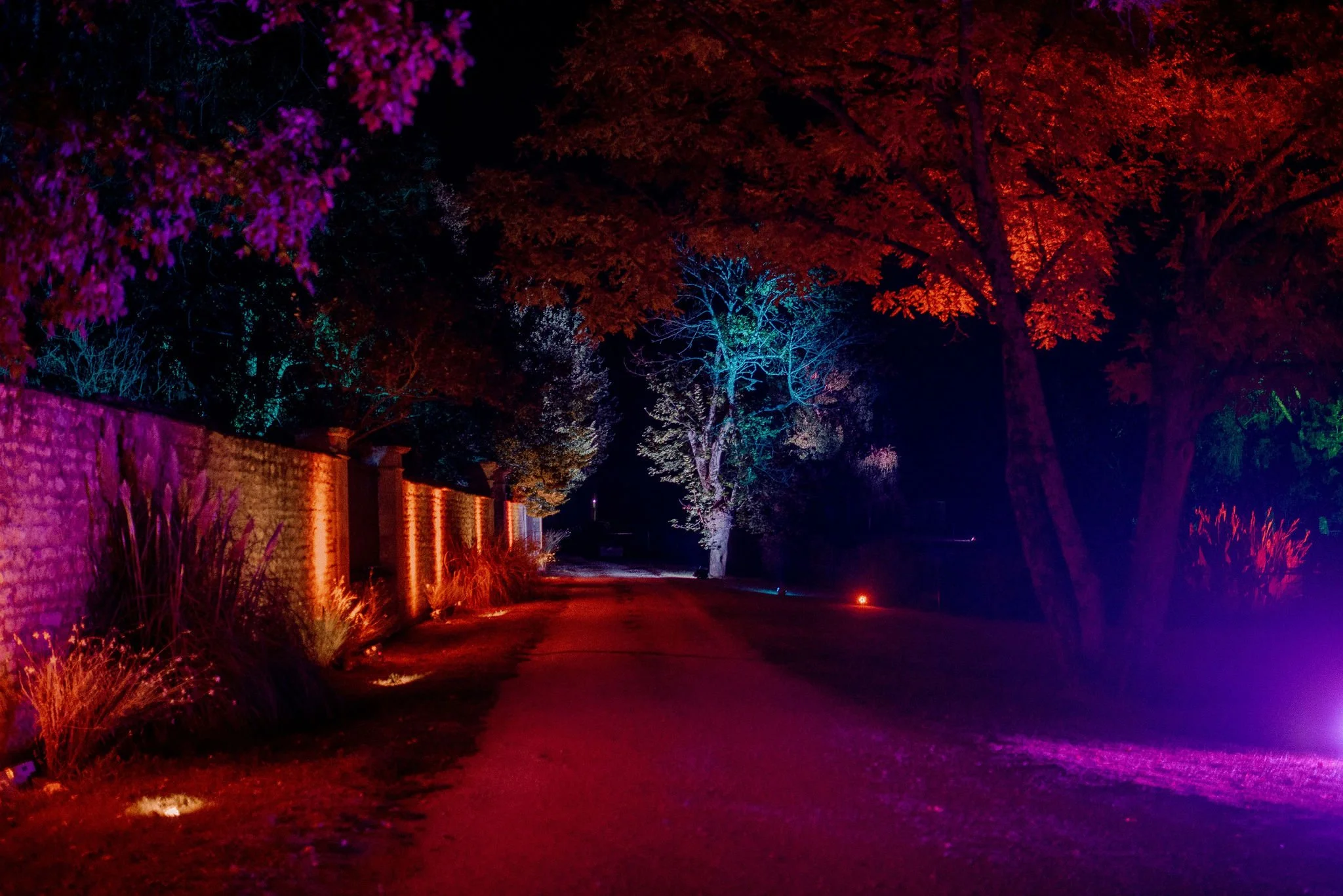 Vinso photographe Mariage