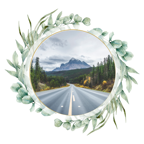 Your Road Trip Survival Guide with Kids