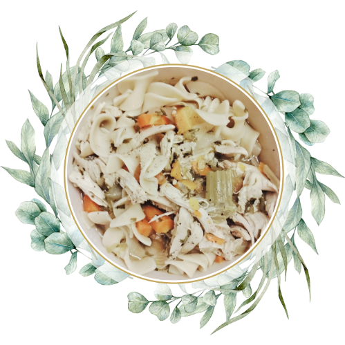Chicken Noodle Soup