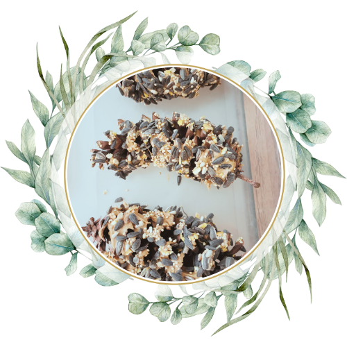 Pinecone Bird Feeders