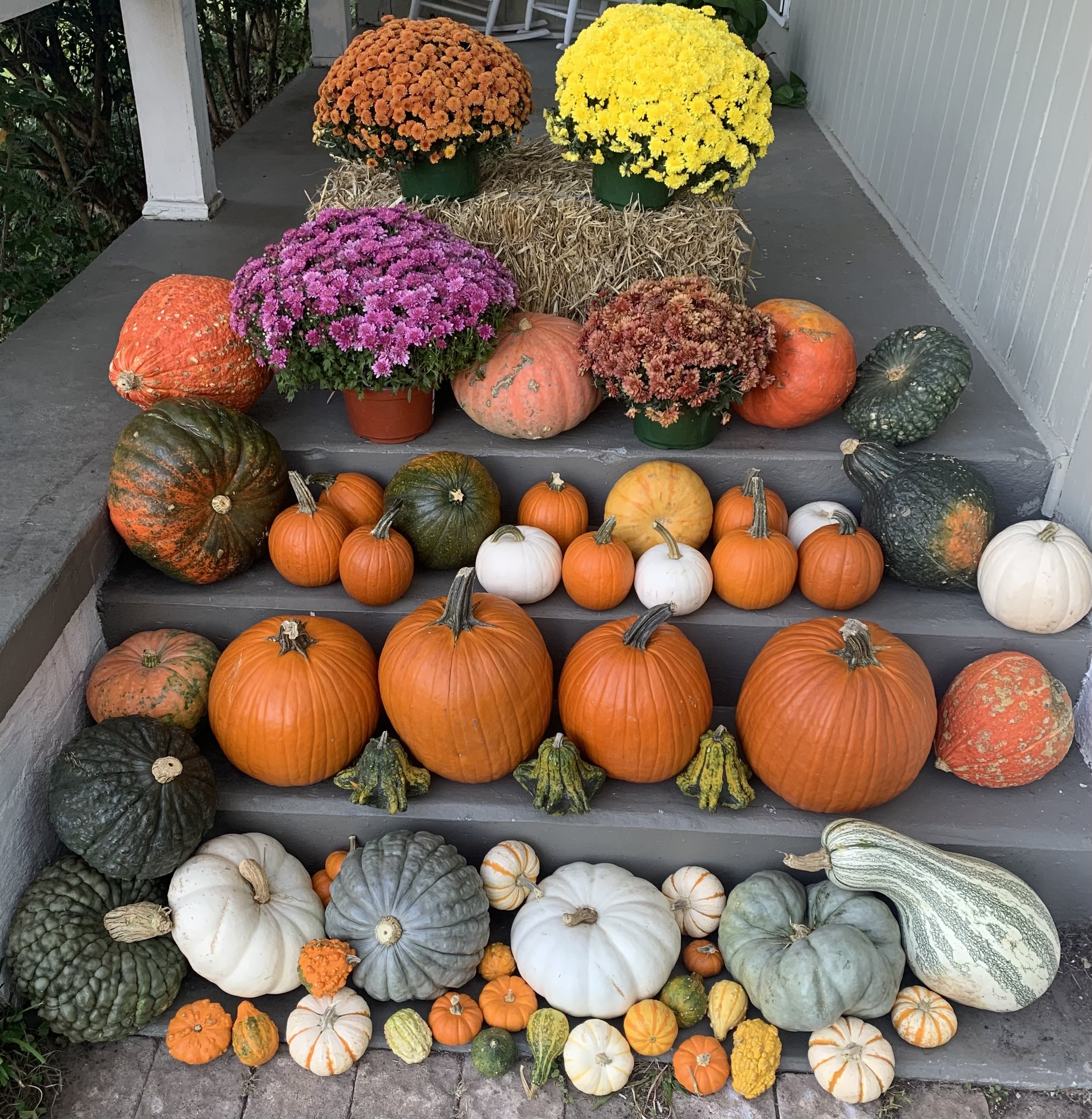 Pumpkin Waterfall.jpg
