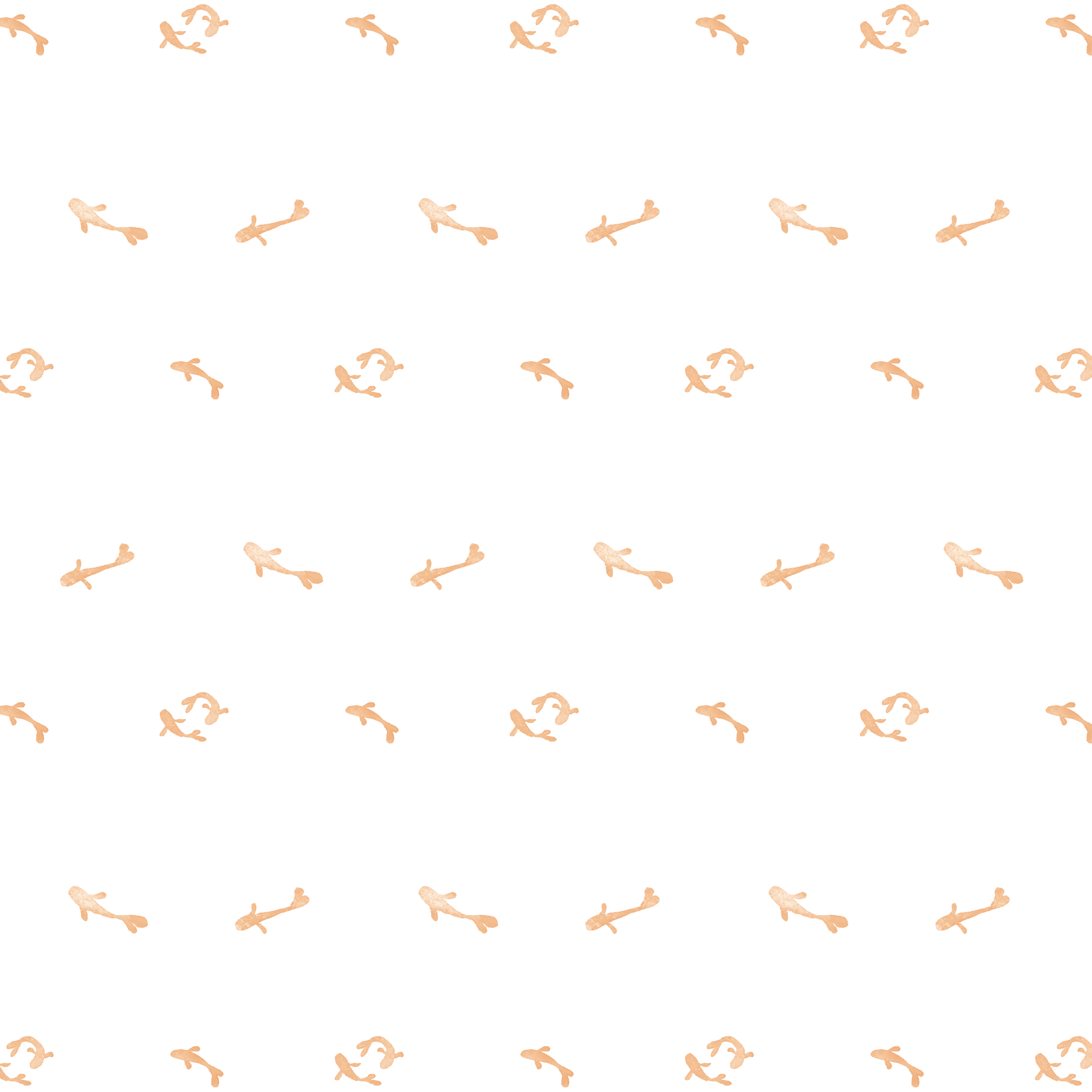 fishes_Support 2.png