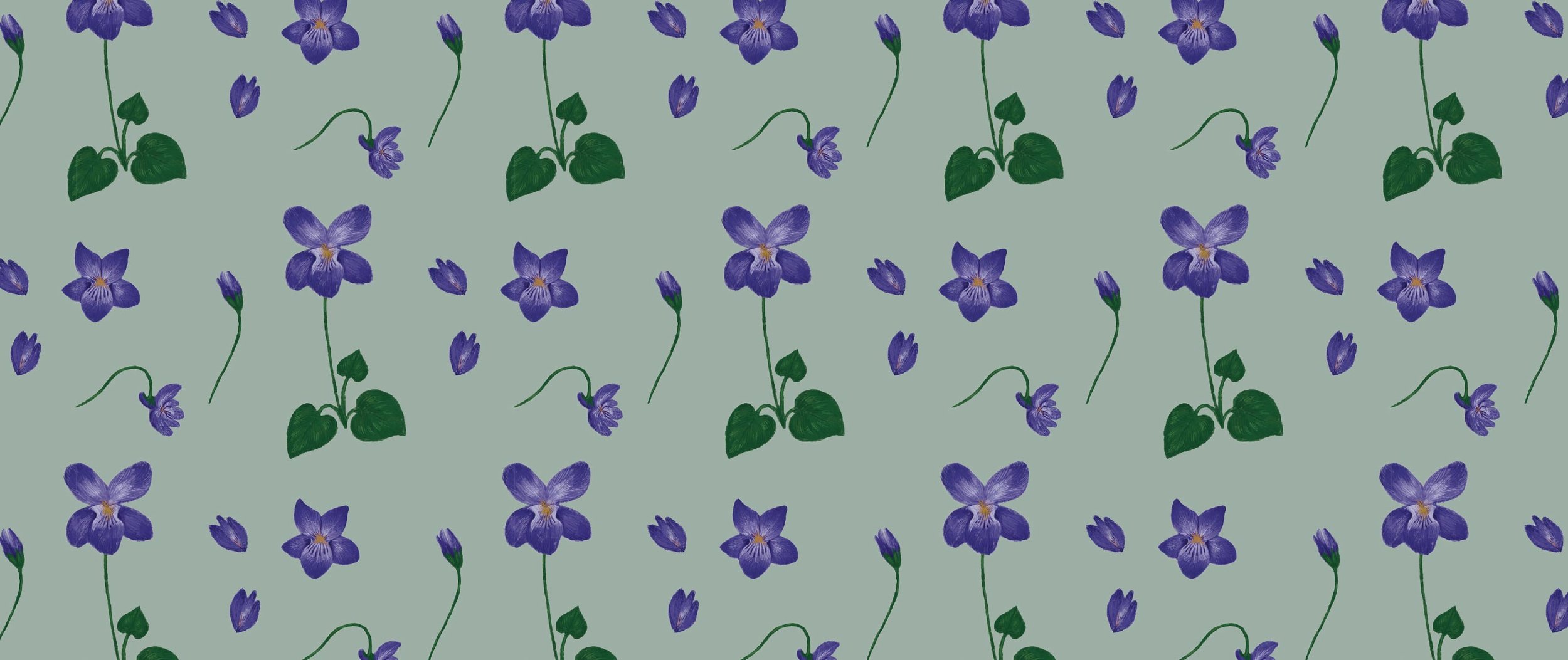 February Violet