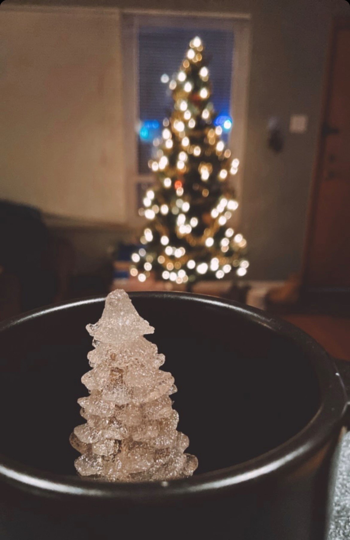 Tree+mug.jpg