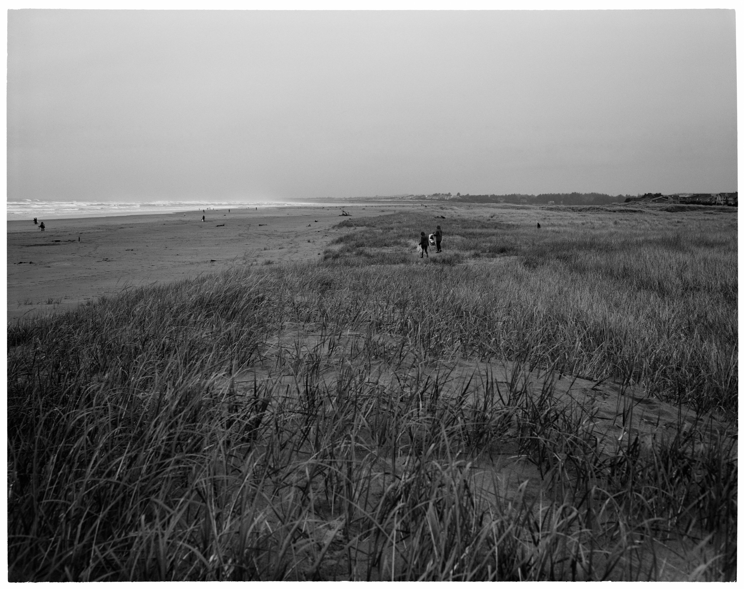 Coast_Clean-up 002.jpg