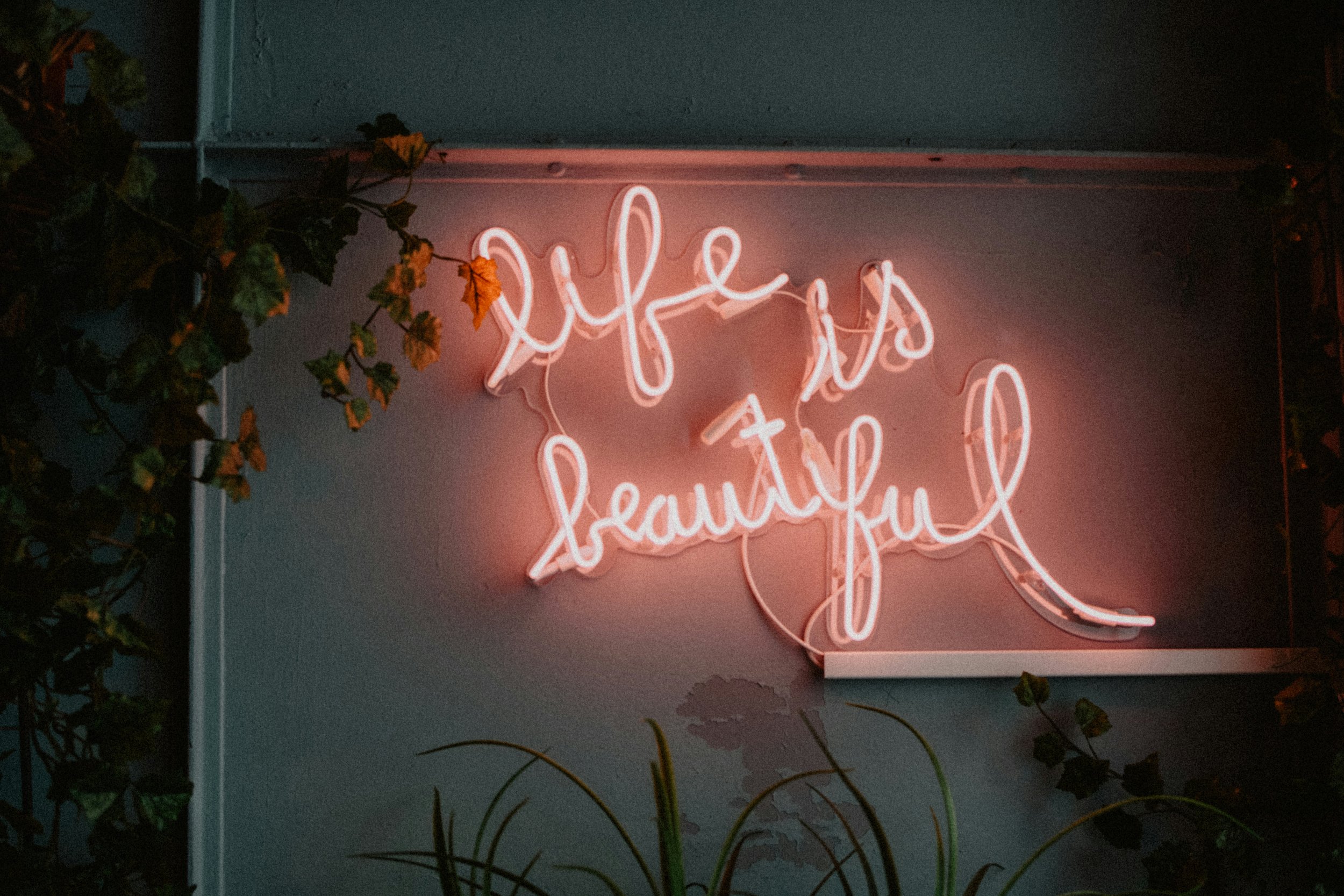 Are you Sober Curious? How Sobriety Became My Anchor