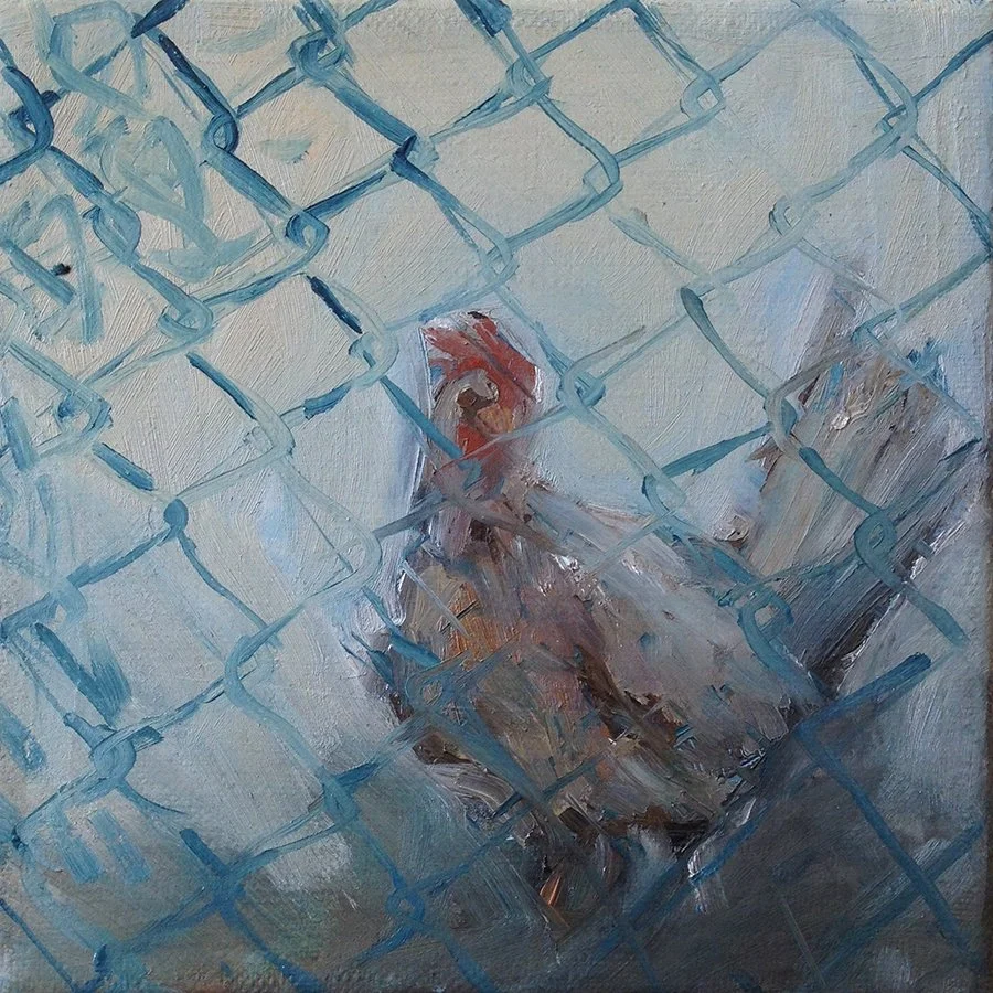 "Curious little chicken", oil on canvas, 15x15cm, 2016.