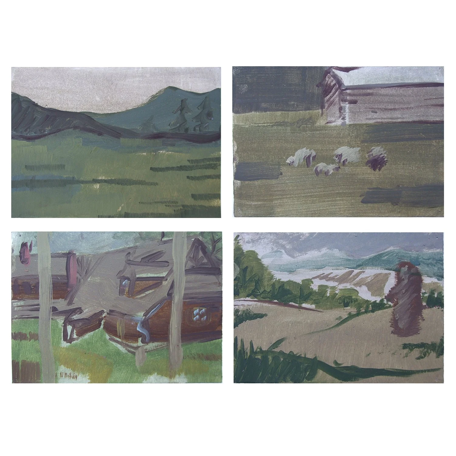 Oil Sketches