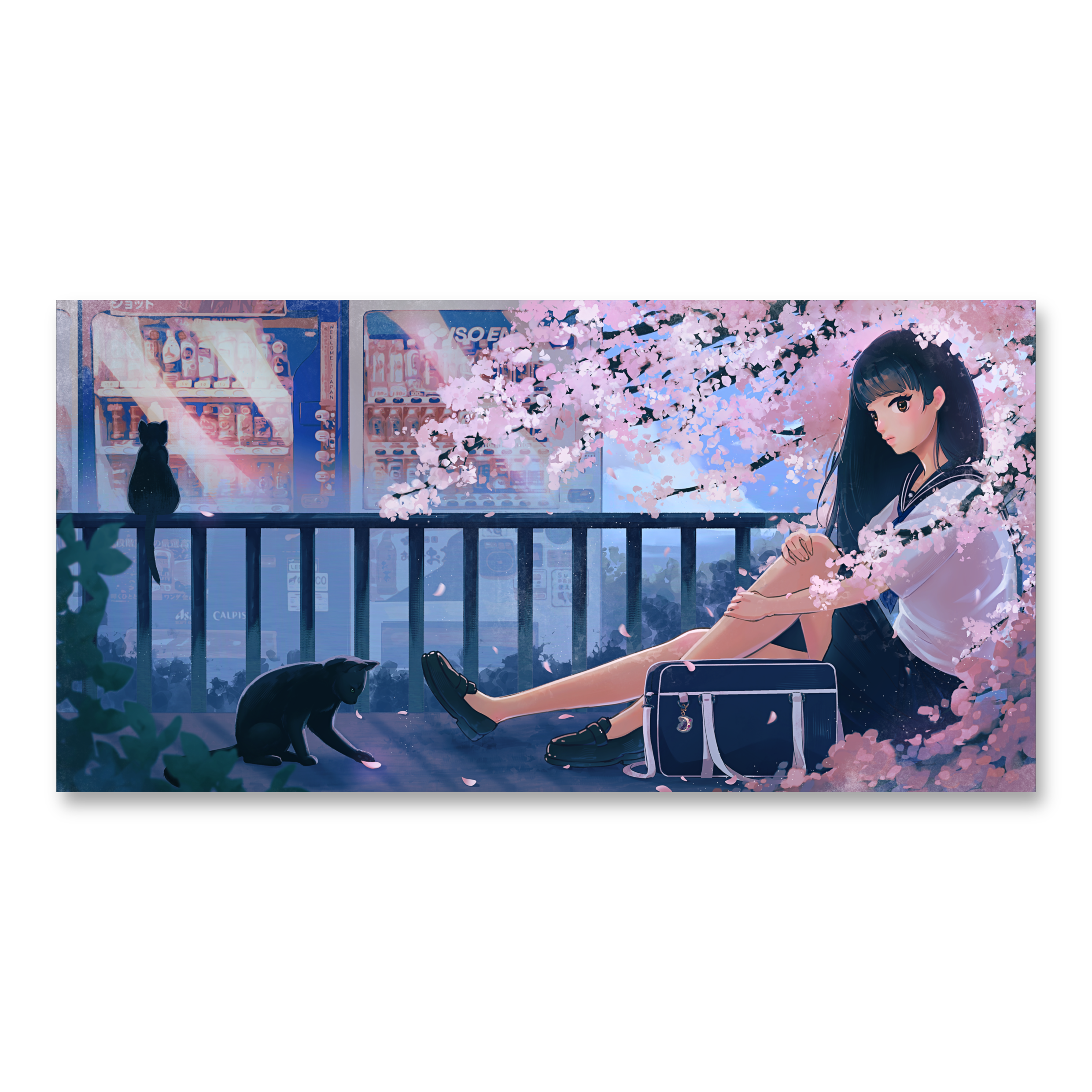 IMG_7089.png