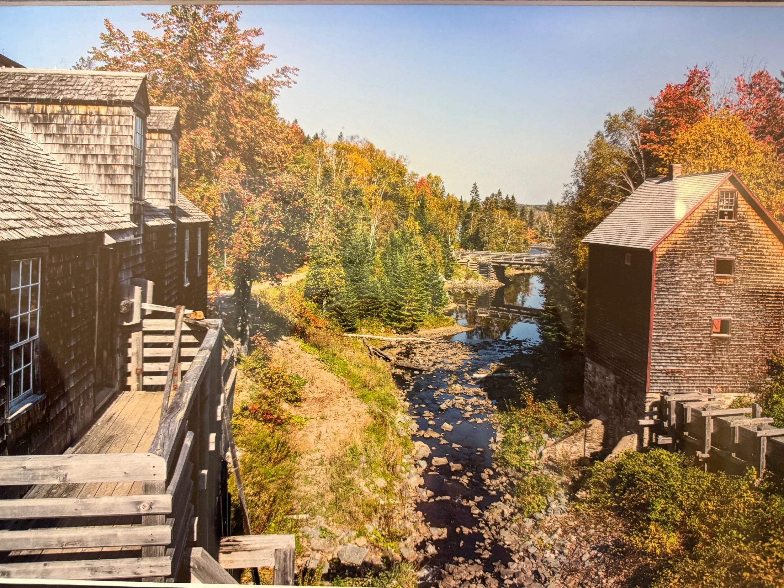 A Step Back In Time - 
By Carol Mulholland