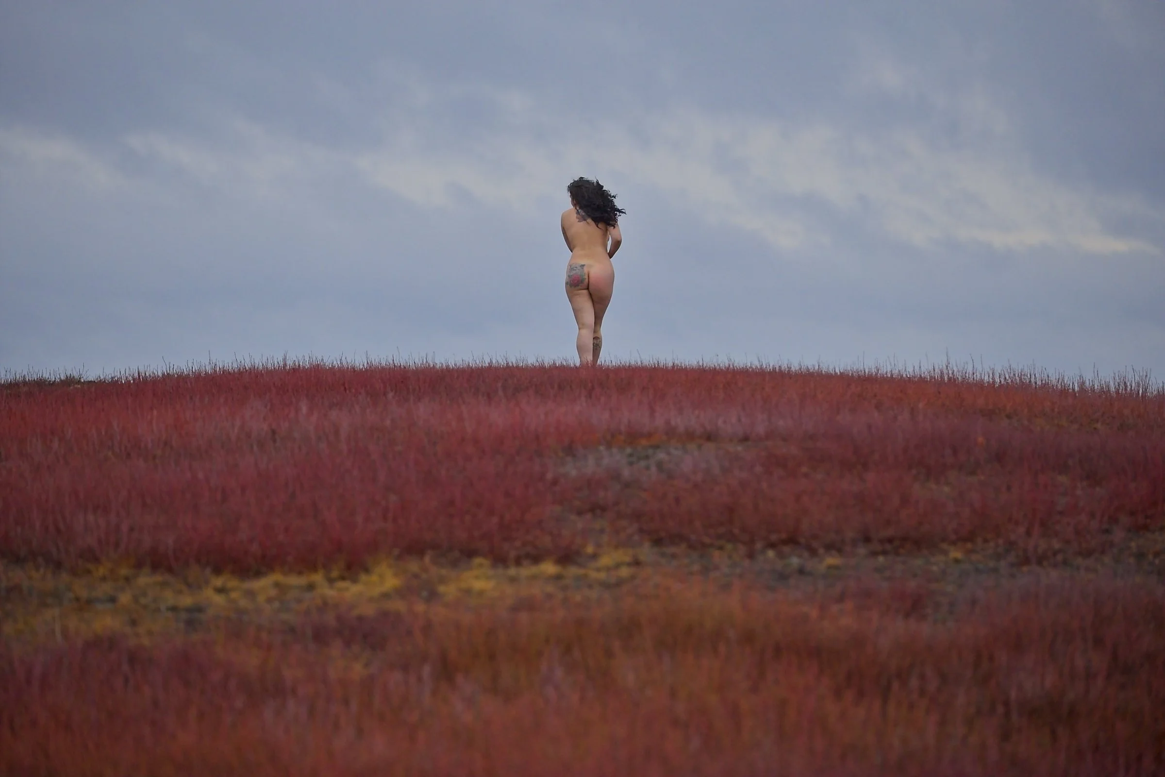 Walking The Red Planet - By Korry Hill