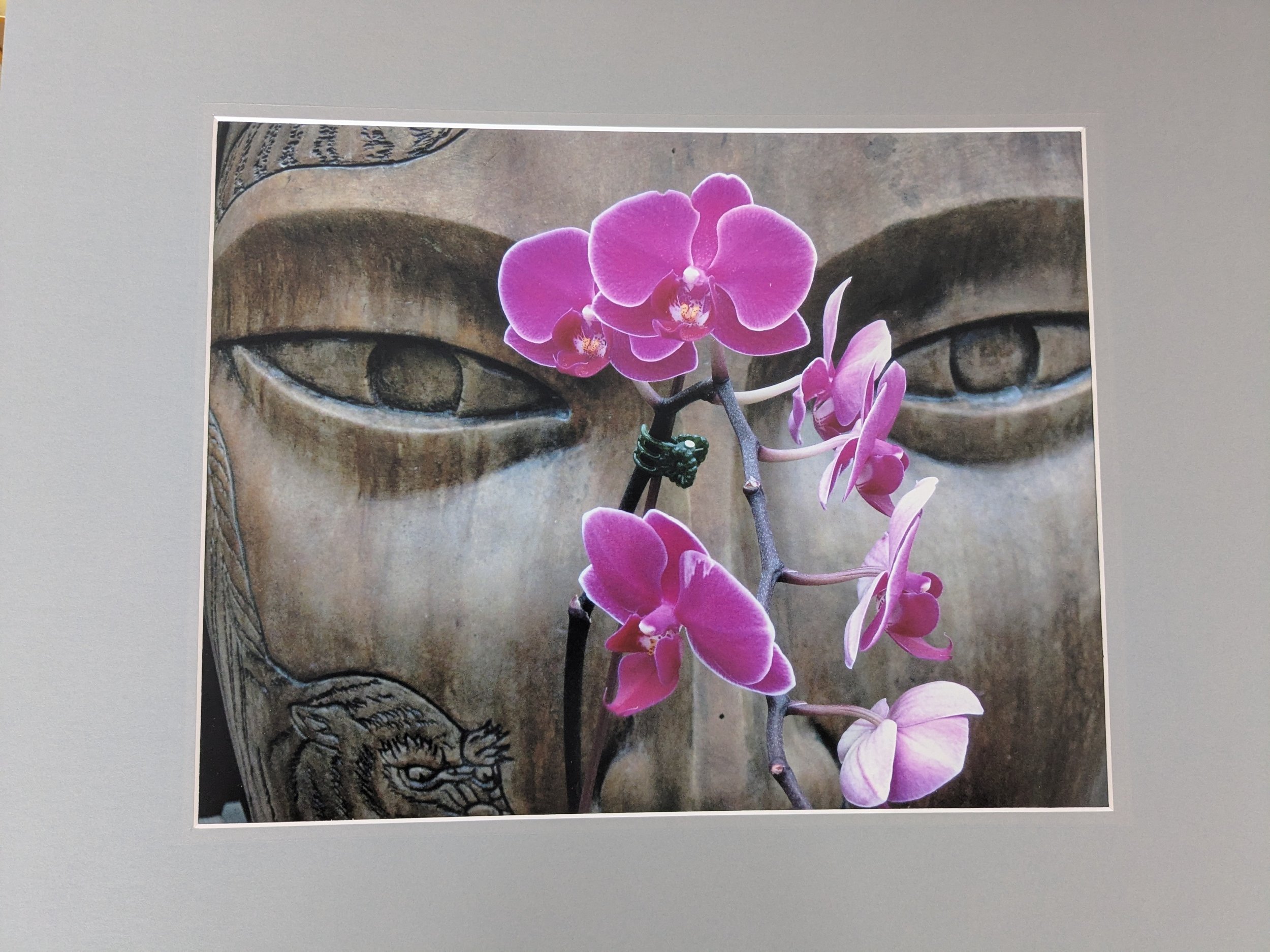 Buddah Orchid - 
By Louise Chapman