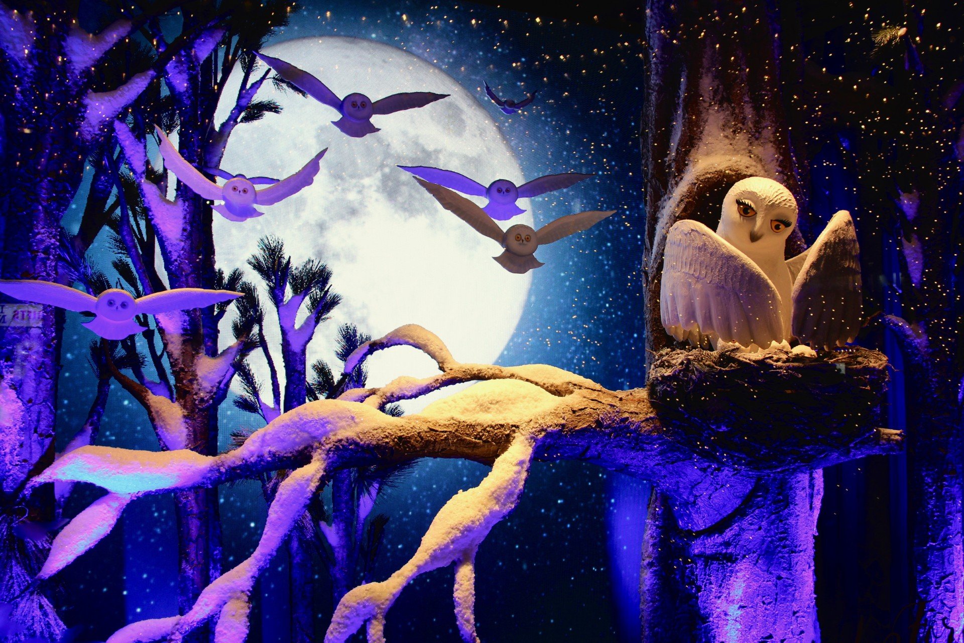 Moonlight Flight - By Nancy Leger