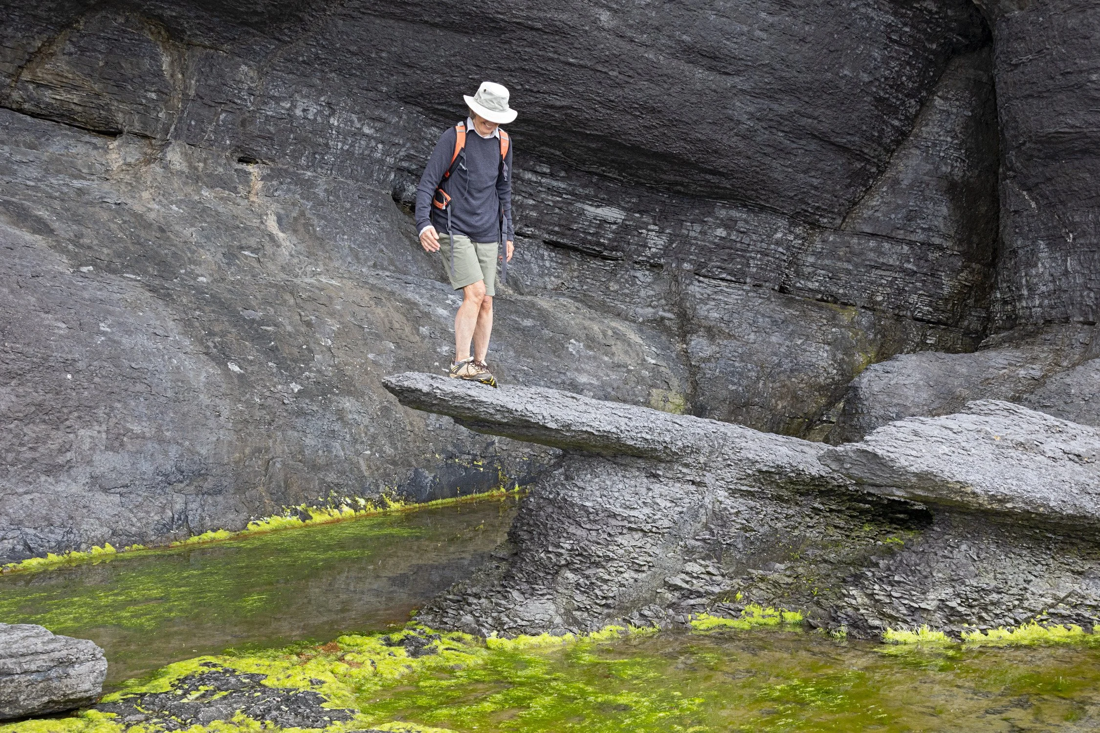 Natures Diving Board - By Roger Smith