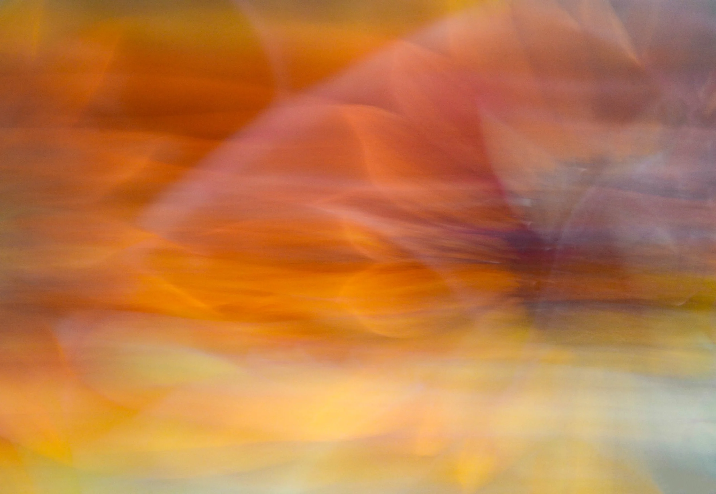 Petal Explosion - By Rachel LeBouthillier