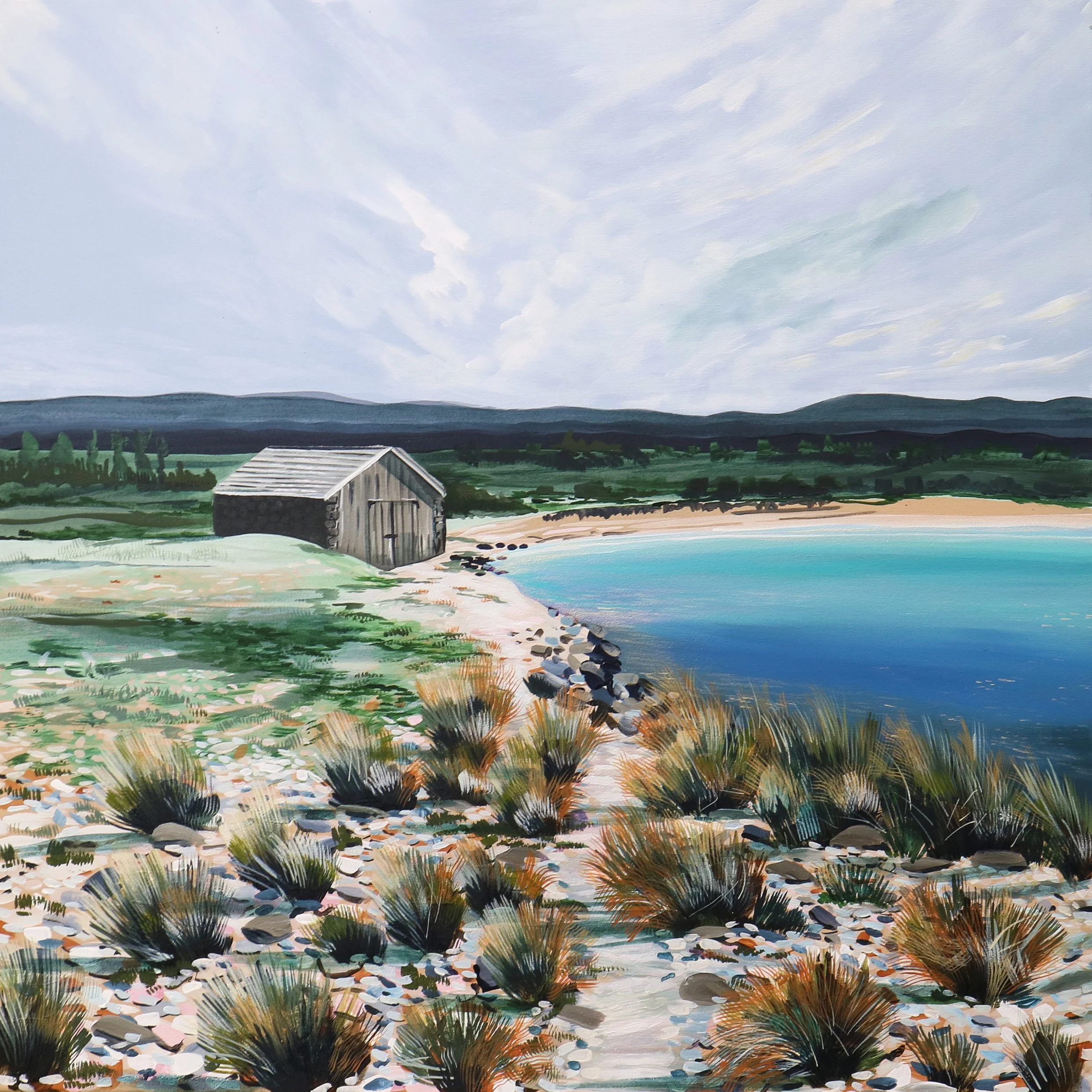 THE SHED IN TASMANIA