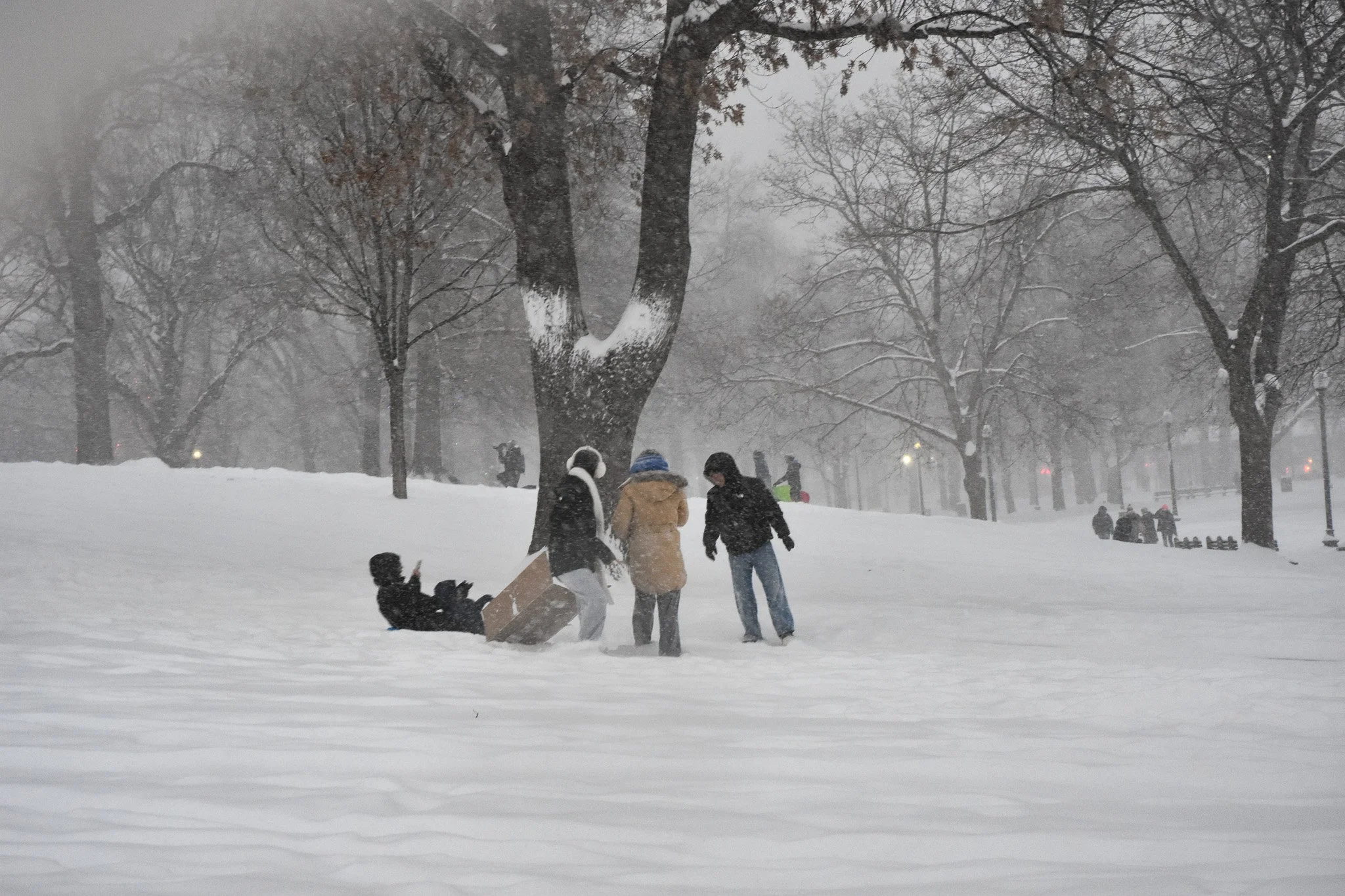 Boston, MA: Jan. 25 -  A group of friends is surprised by a sledder coming up behind them. 