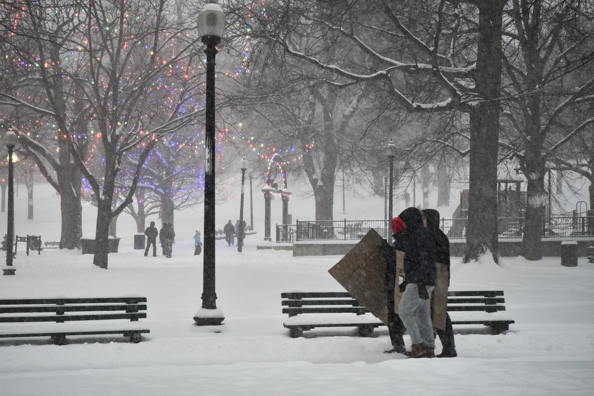 Boston, MA: Jan. 25 -  A group of friends walk in the Boston Common with flattened cardboard, ready to go sledding. 