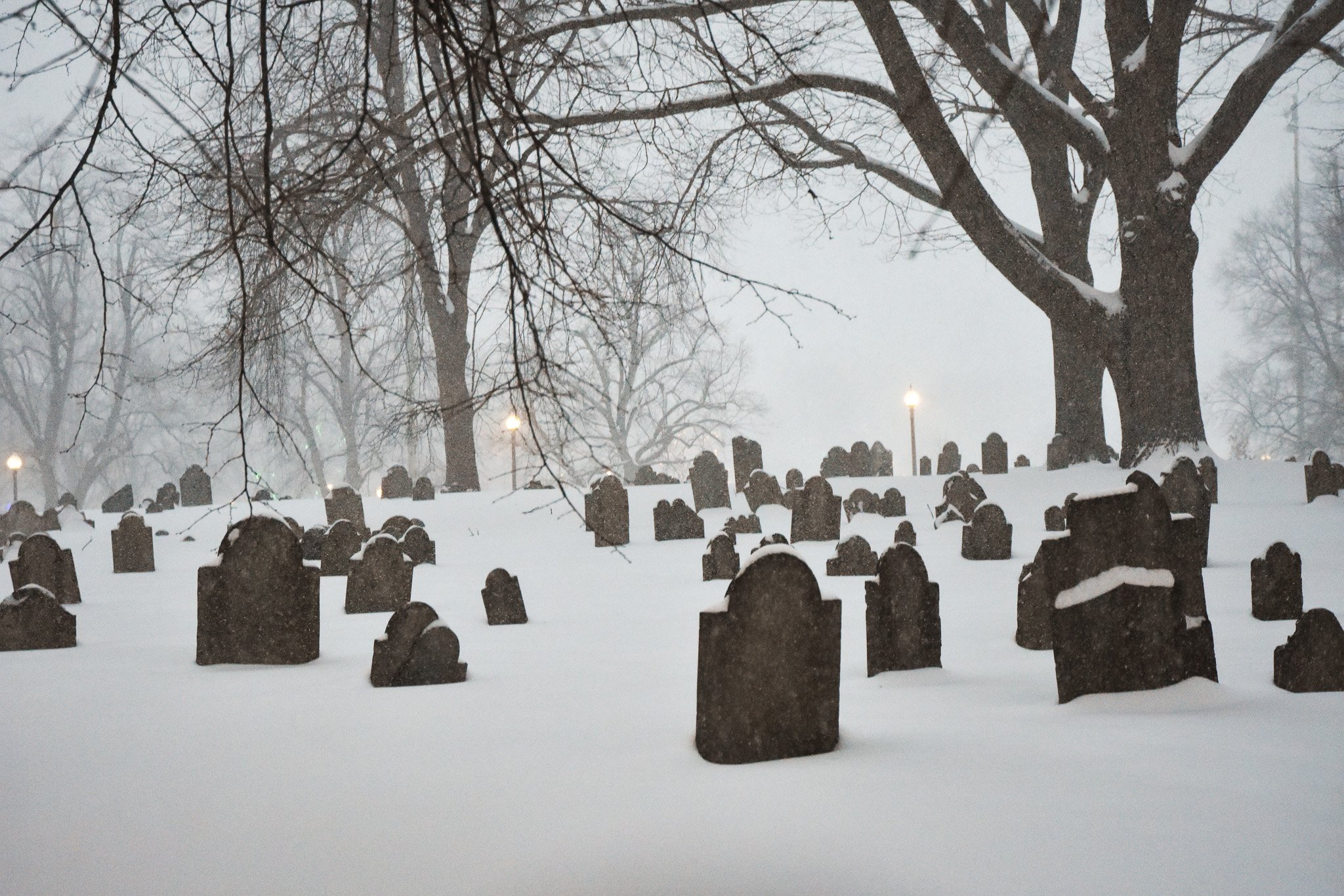 Boston, MA: Jan. 25 -  More graves in the Central Burying Ground are consumed by snow. 