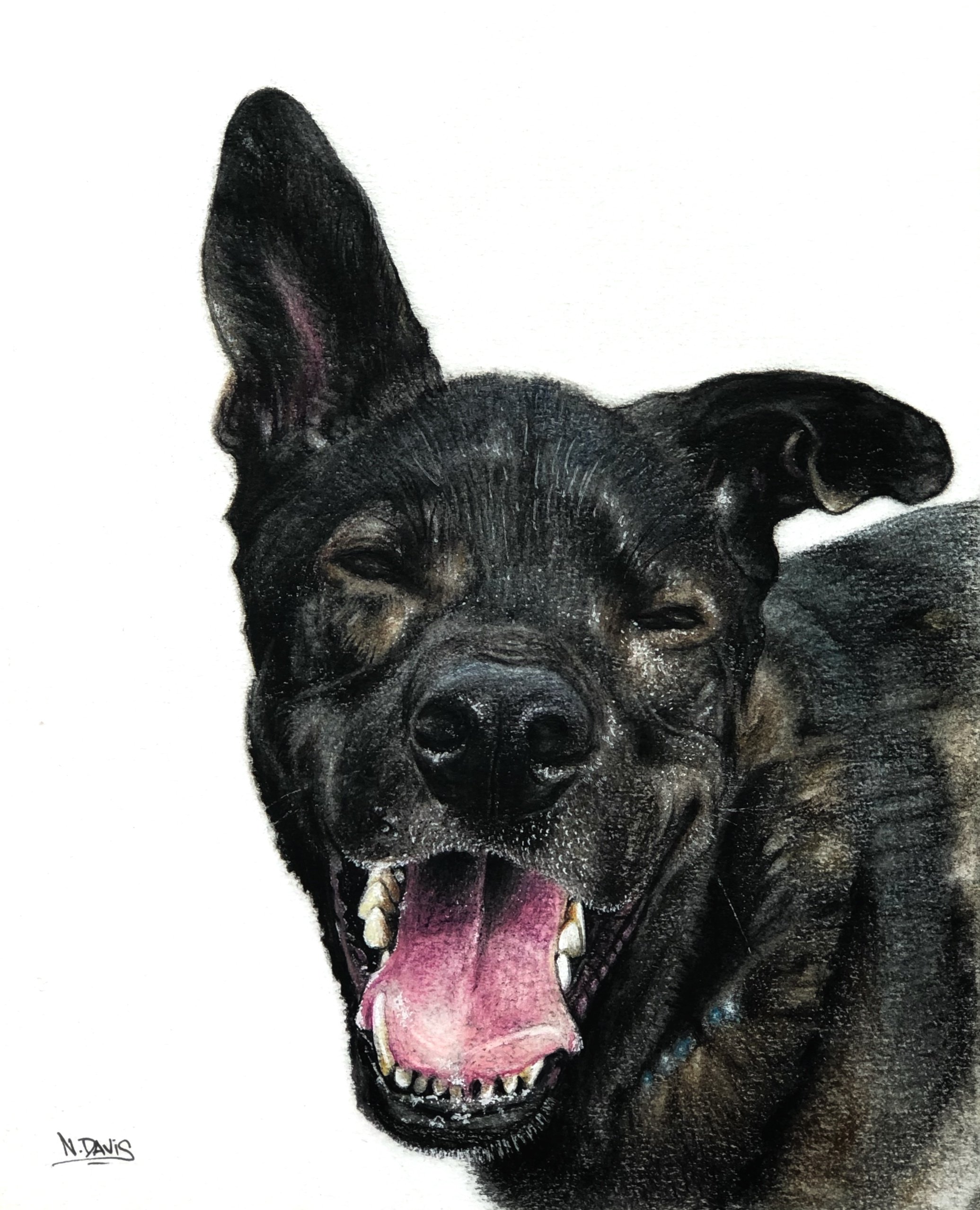 Bosco