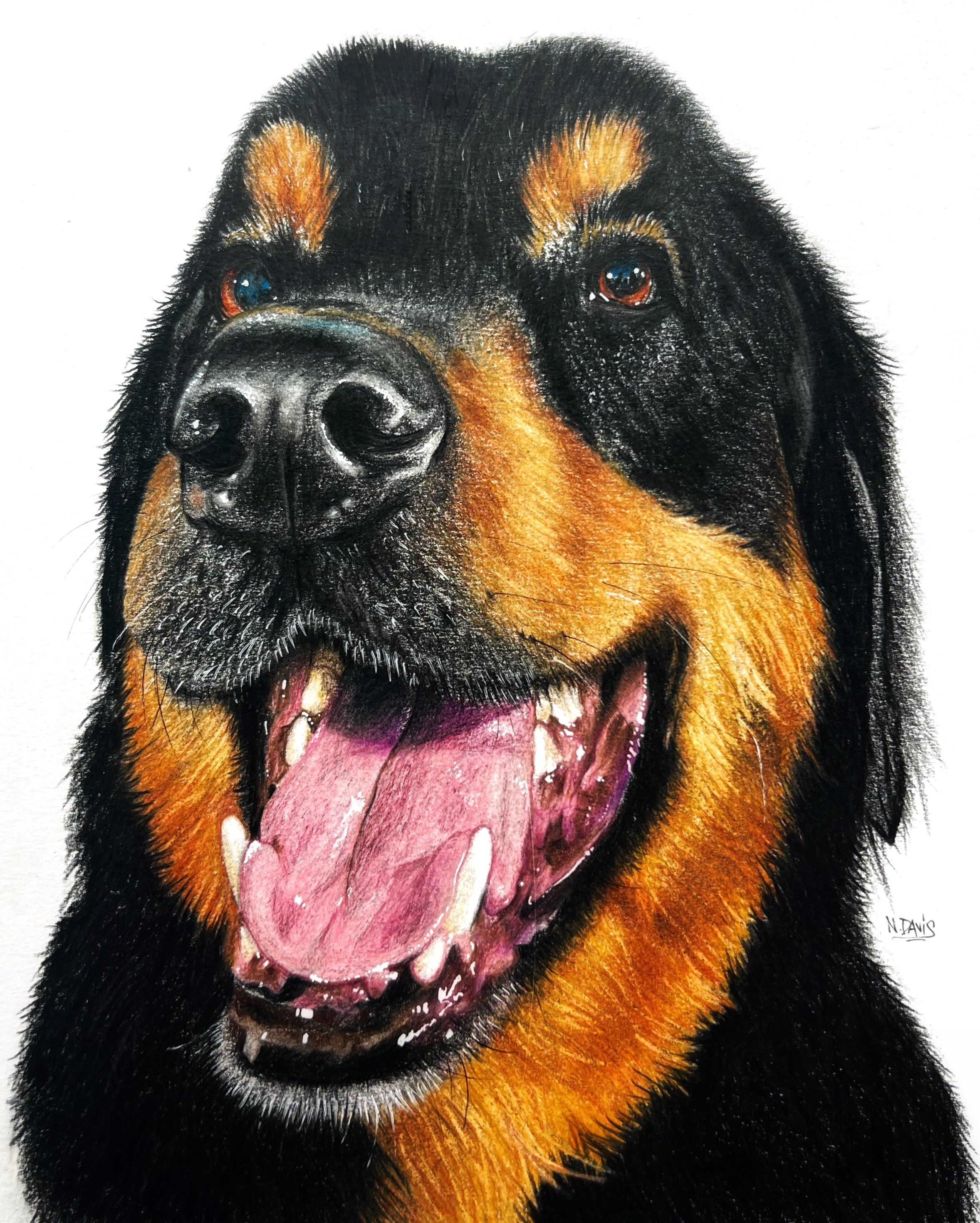 Jax