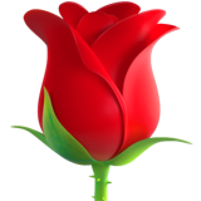 Close-up of a red rose with green leaves against a blurred background.