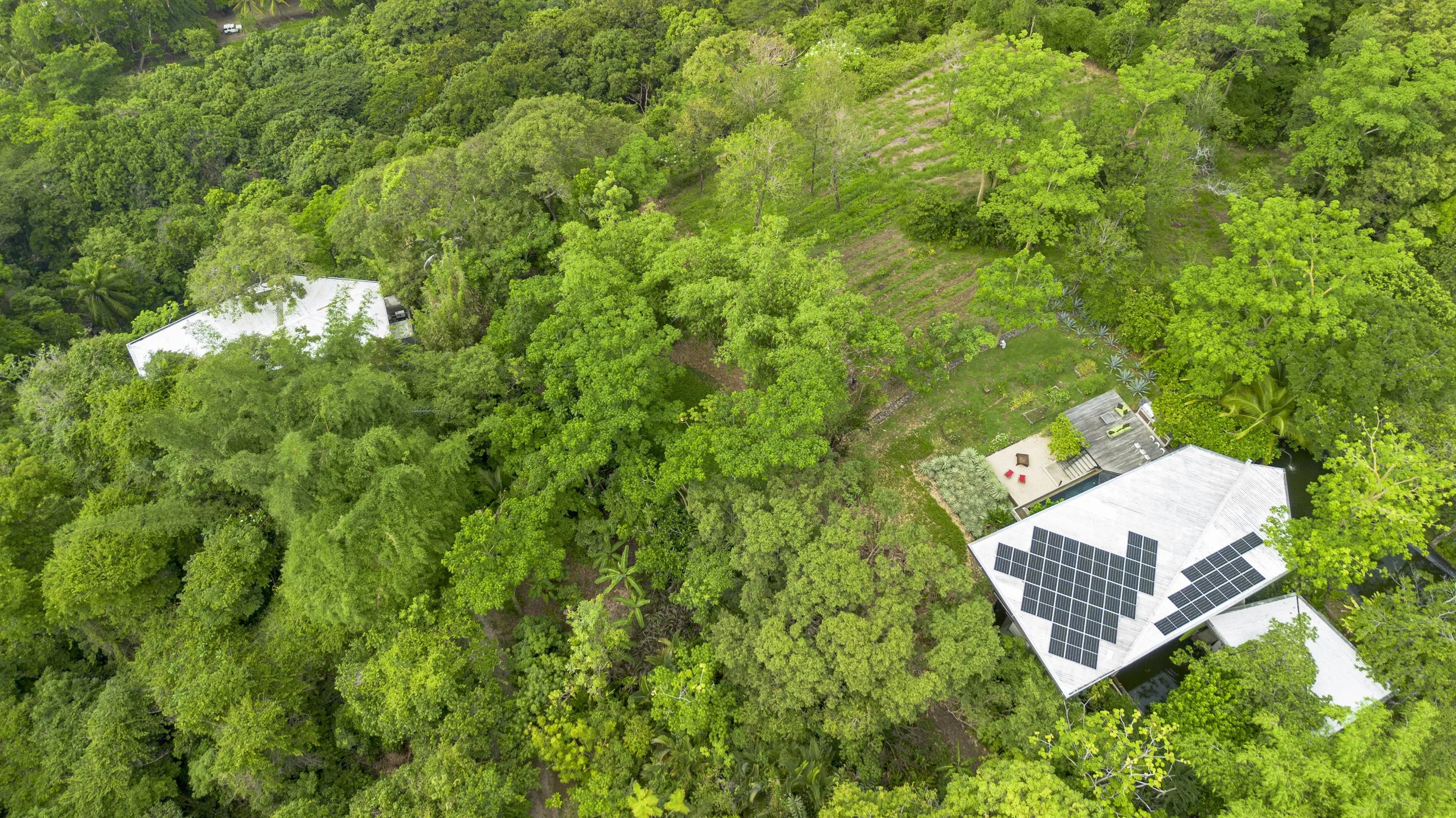 Aerial view of Entre Lomas villas nestled in the jungle canopy, Montezuma Costa Rica