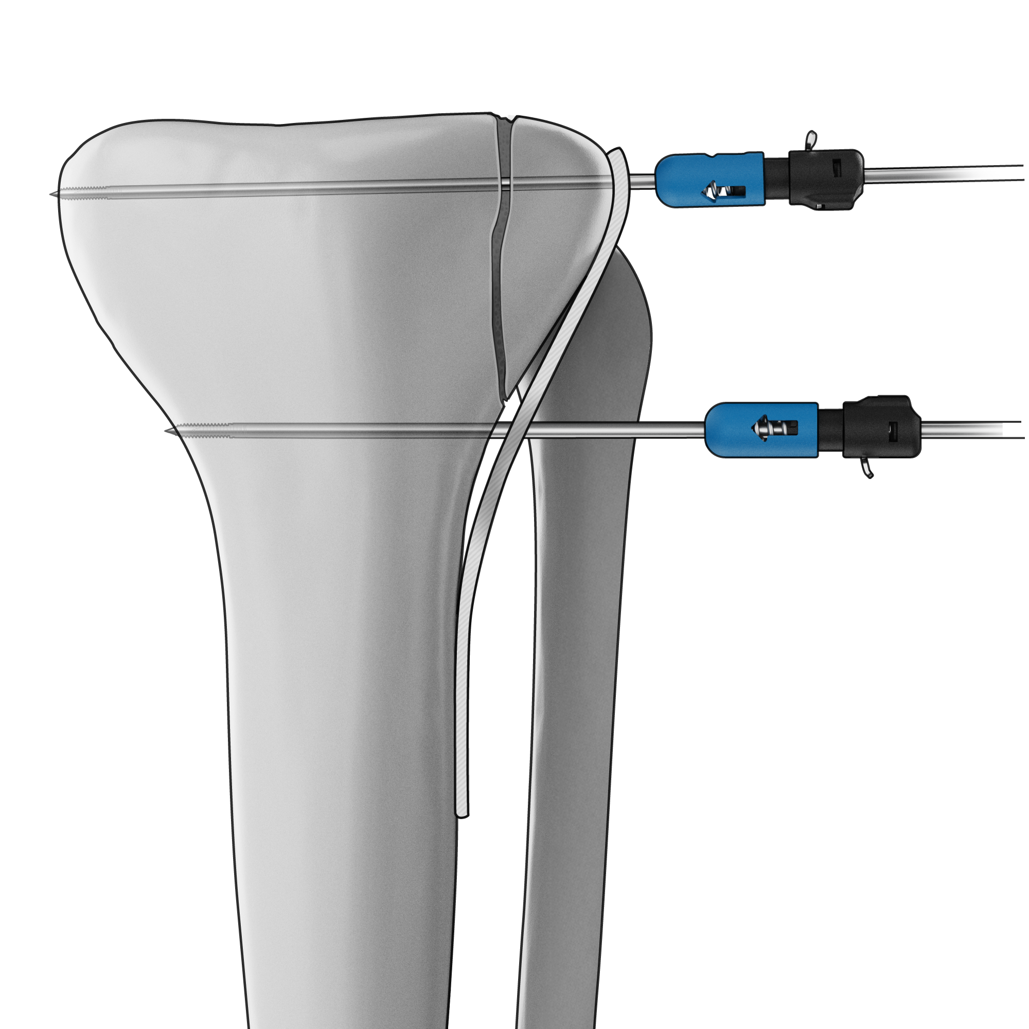Home Page [axiaortho.com]