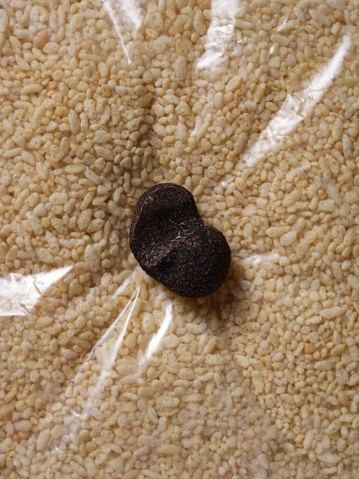 truffle.jpg