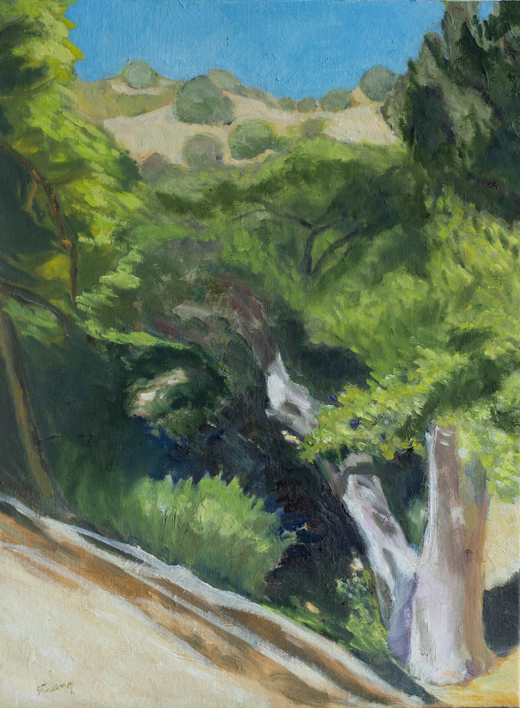Canyon Scene   Oil on canvas board | 16x 20"