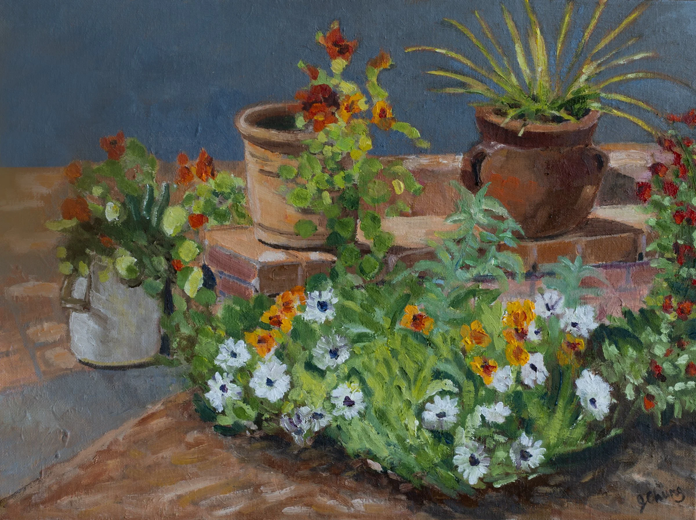 Patio Pots   oil on canvas board | 12 x 16"