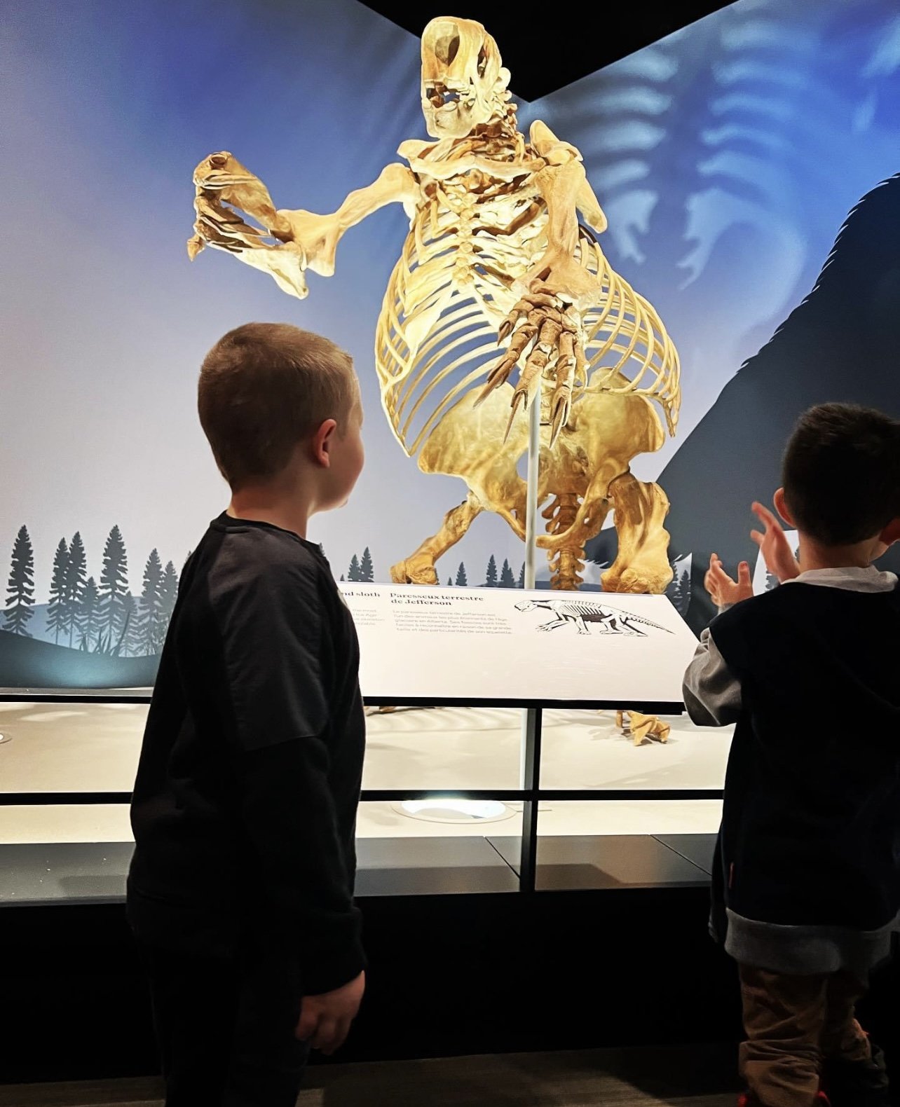 Royal Alberta Museum