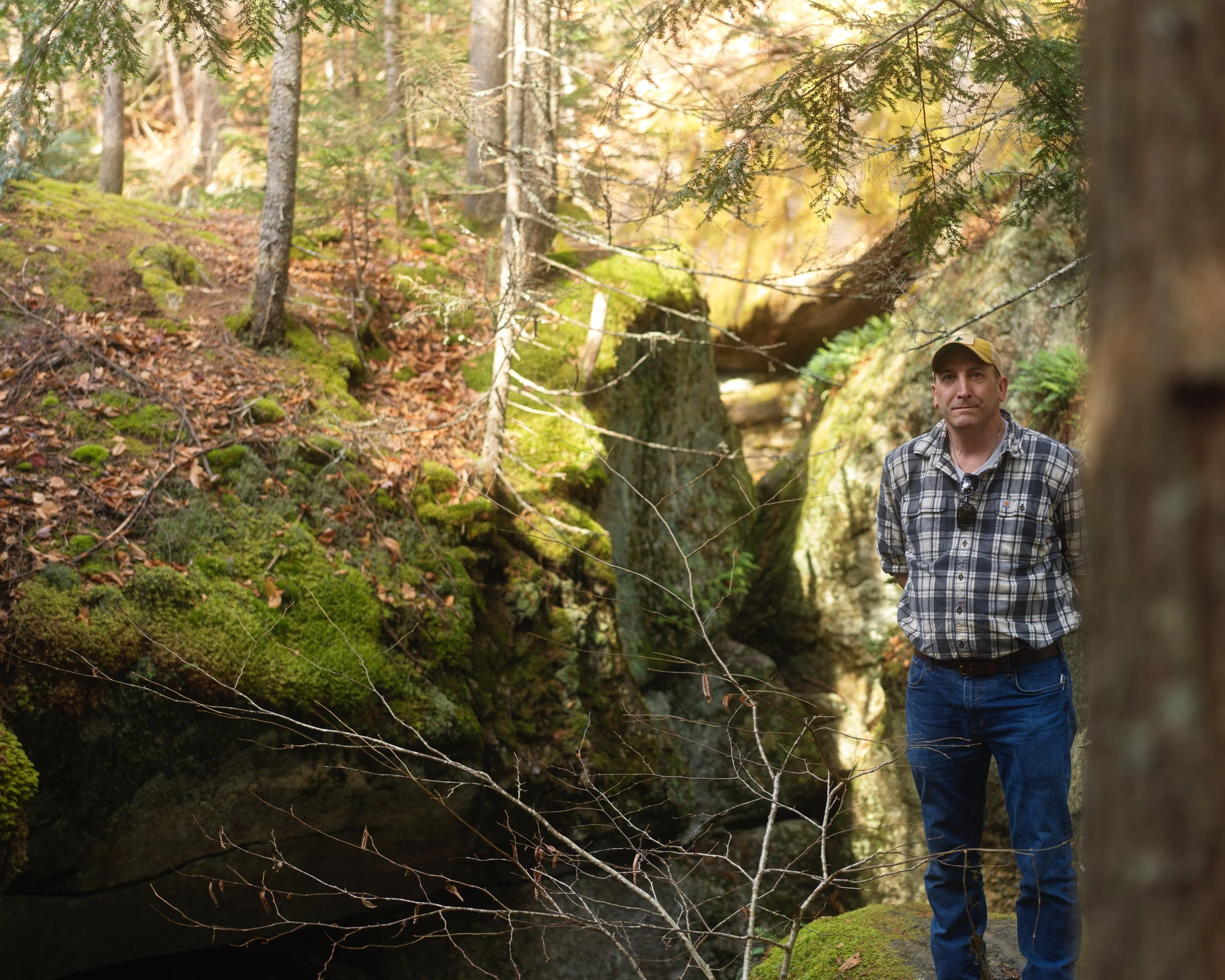 A man in a plaid shirt and jeans stands outdoors in a forested area, surrounded by trees and mossy ground, with sunlight filtering through the branches.