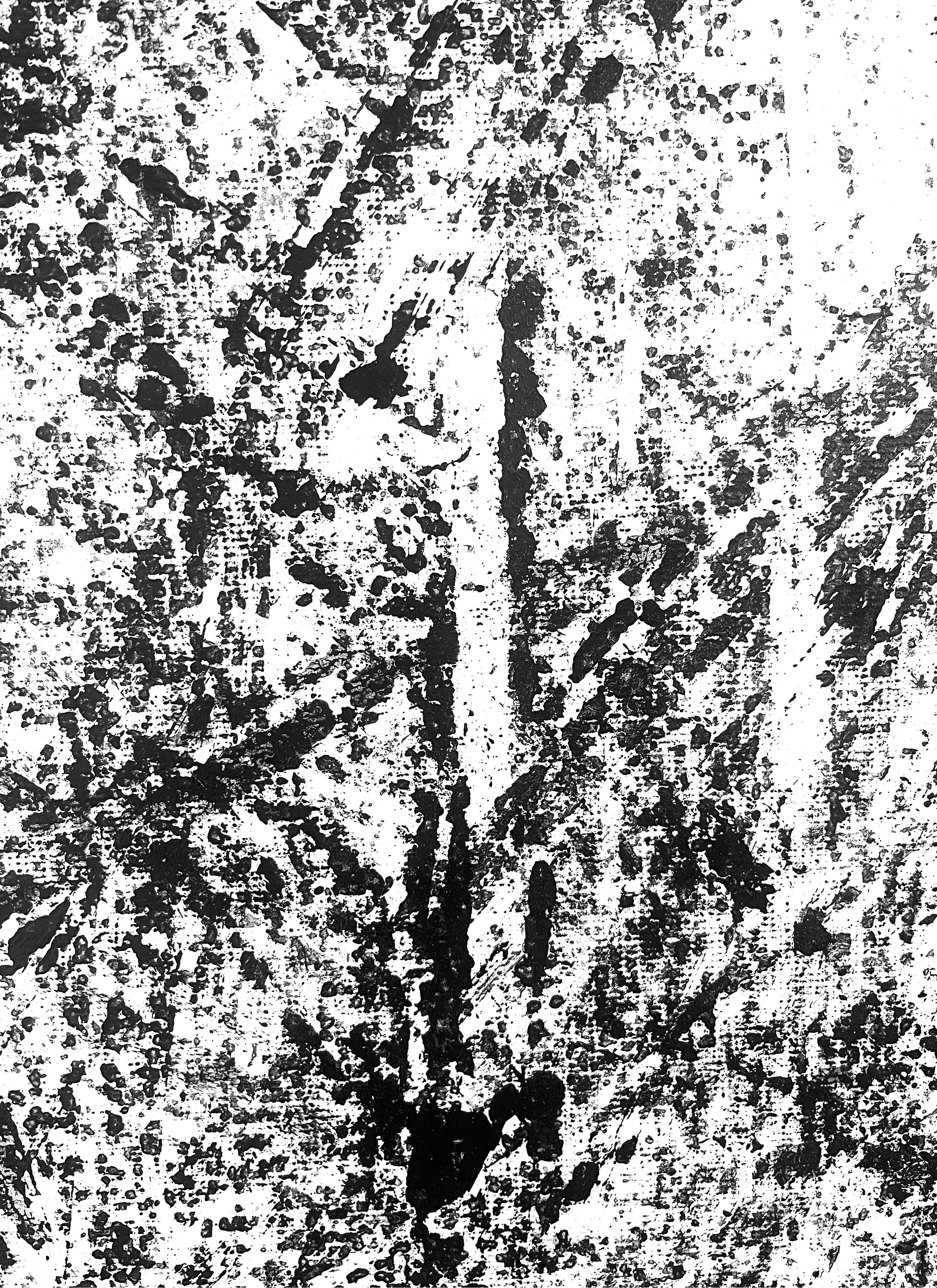 Skid-1-Detail-3.jpg