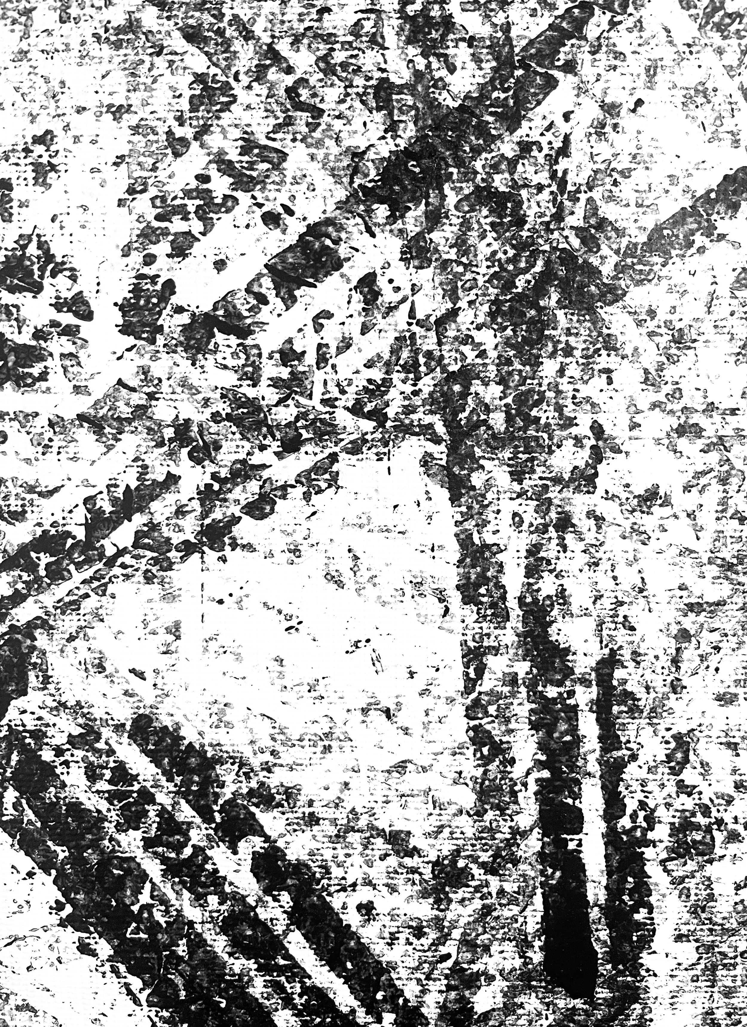 Skid-2-4.jpg