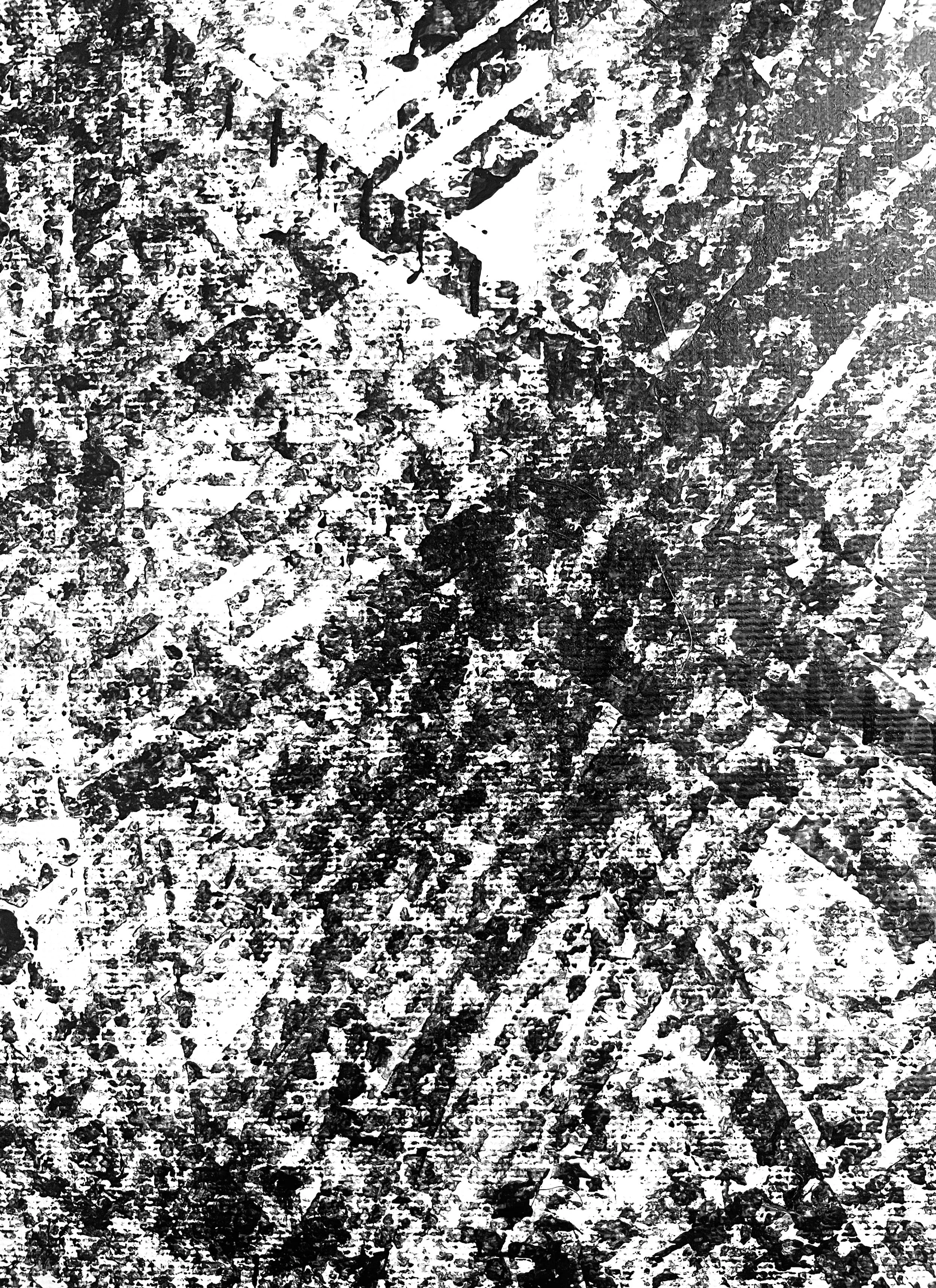 Skid-2-5.jpg